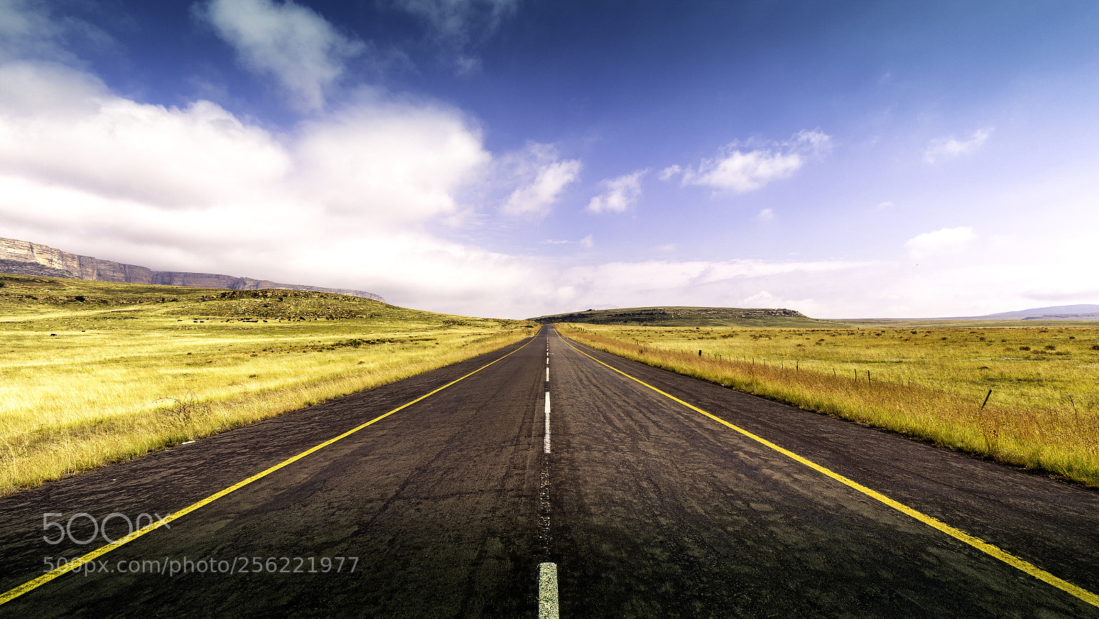 Canon EOS 5D Mark IV sample photo. On the road again photography