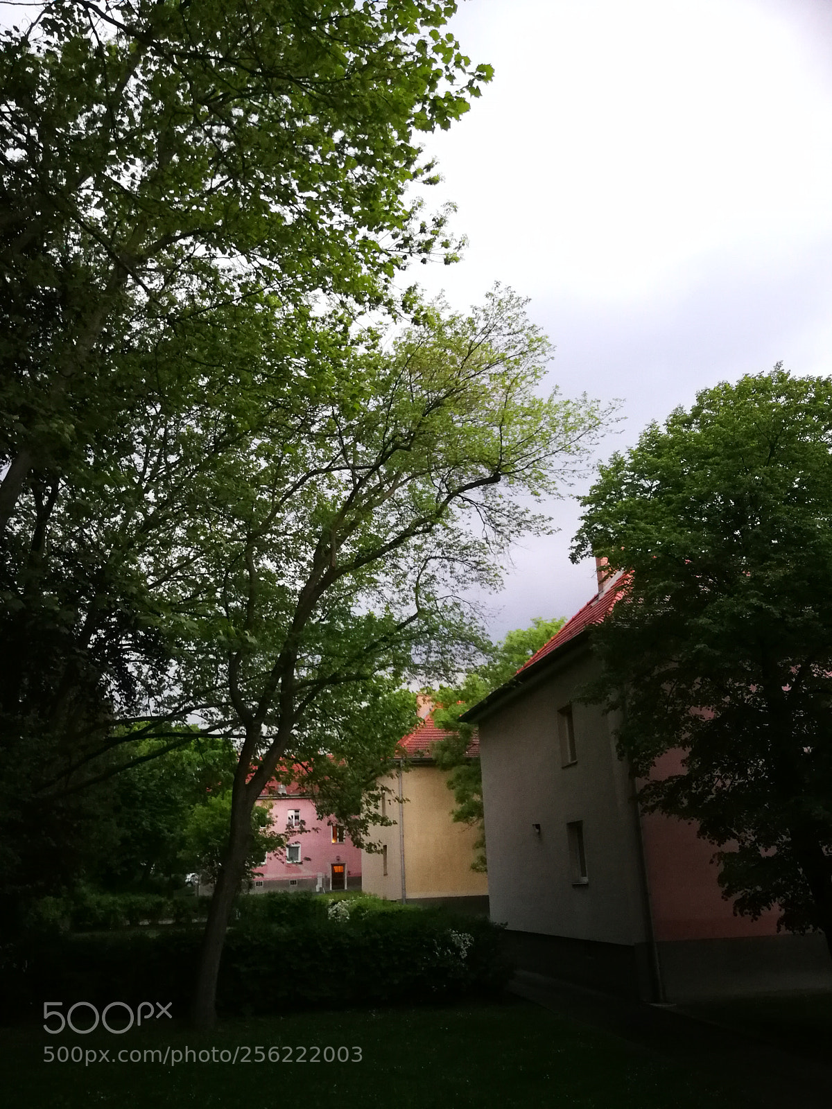HUAWEI P10 Plus sample photo. Mai photography