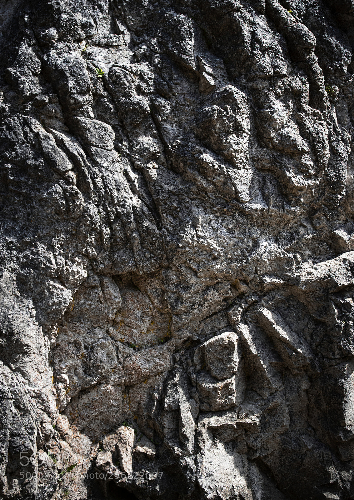 Nikon D5500 sample photo. Folding detail of an photography