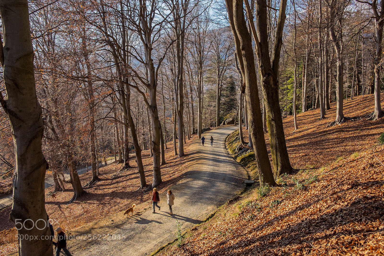 Fujifilm X-T10 sample photo. Parco burcina photography