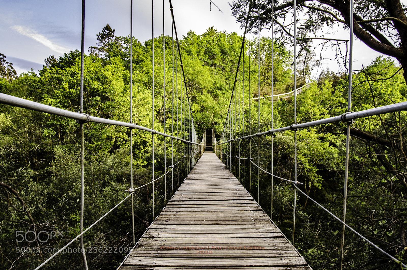 Nikon D5100 sample photo. Puente colgante photography