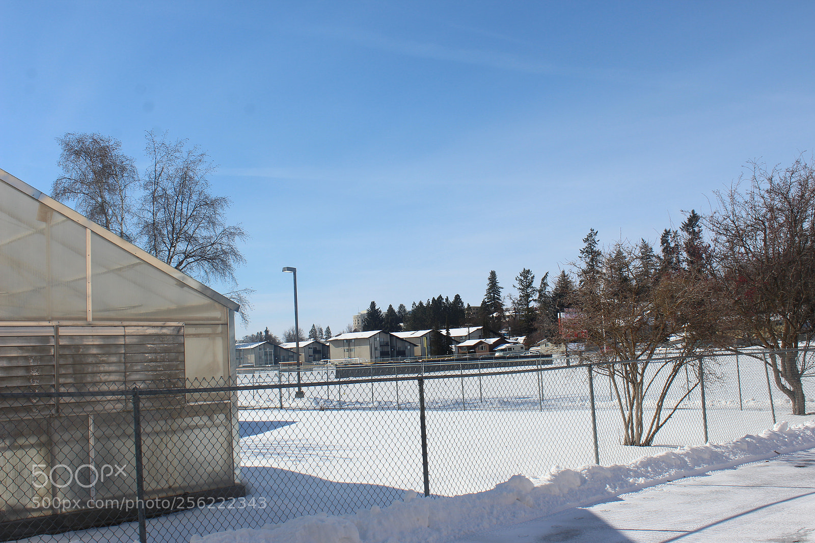 Canon EOS 1200D (EOS Rebel T5 / EOS Kiss X70 / EOS Hi) sample photo. Winter outdoors photography