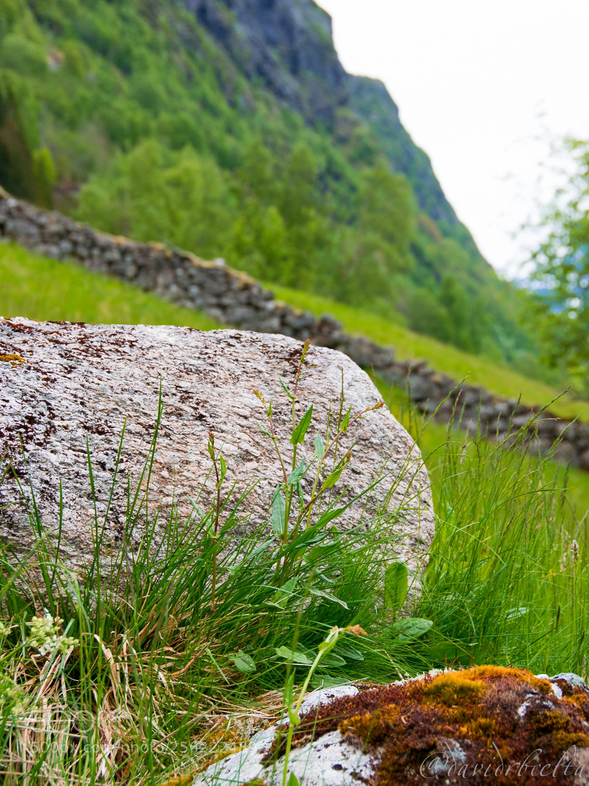 Nikon D3300 sample photo. Norge 081 hellesylt photography