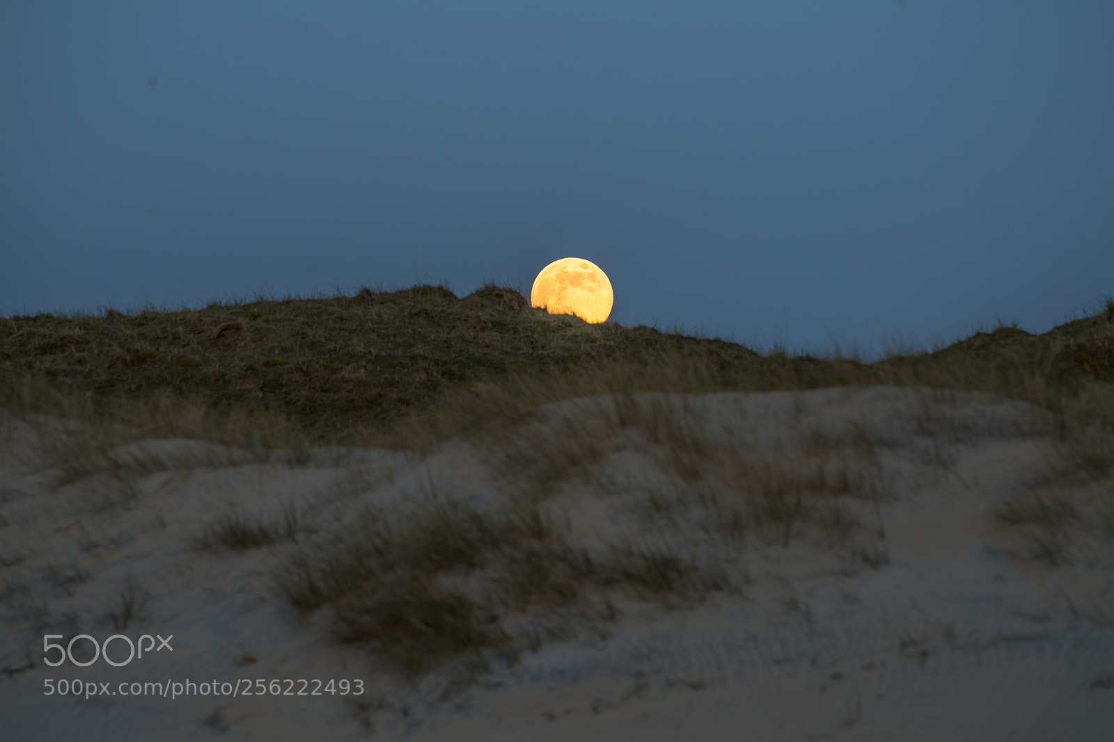 Sony a99 II sample photo. Dune moon photography