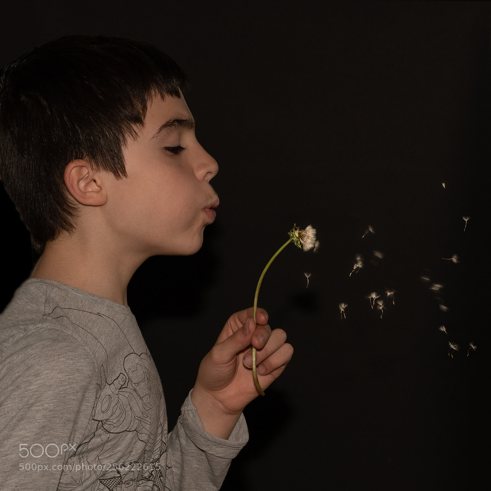Nikon D750 sample photo. Splash photography