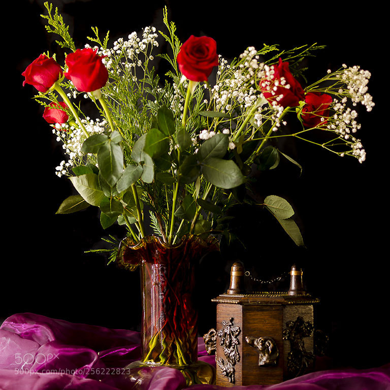 Nikon D7000 sample photo. Rosas photography