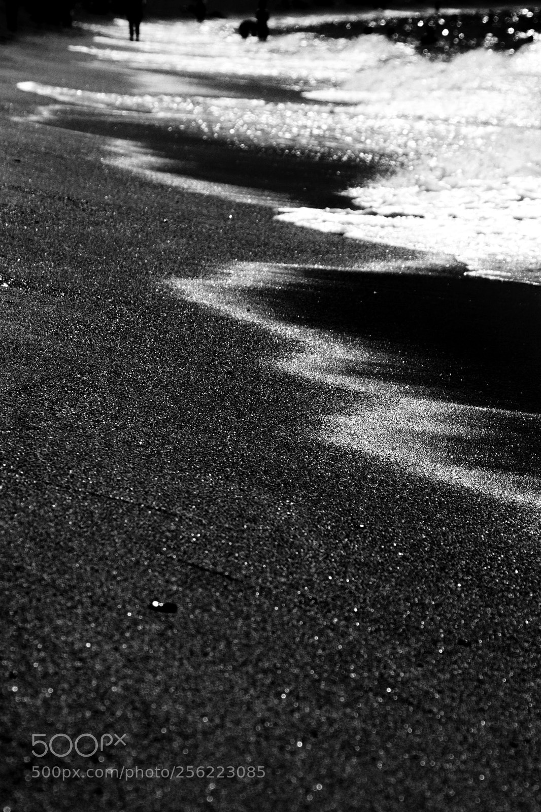 Canon EOS 70D sample photo. A day by the photography