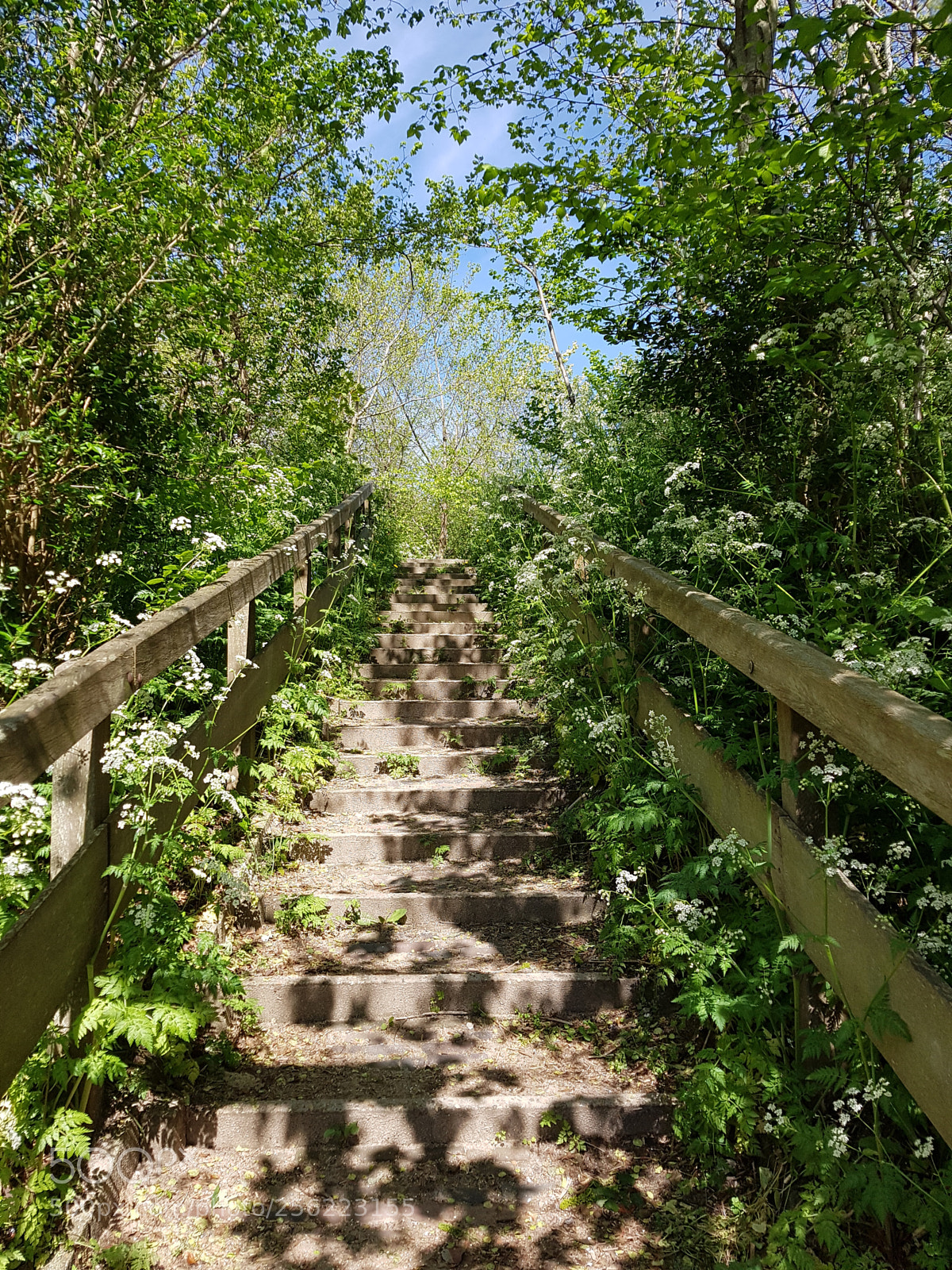 Samsung Galaxy S7 sample photo. Stairway to heaven?! photography