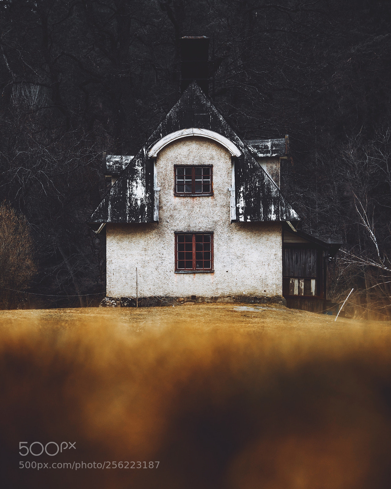 Olympus OM-D E-M1 Mark II sample photo. The moody house photography