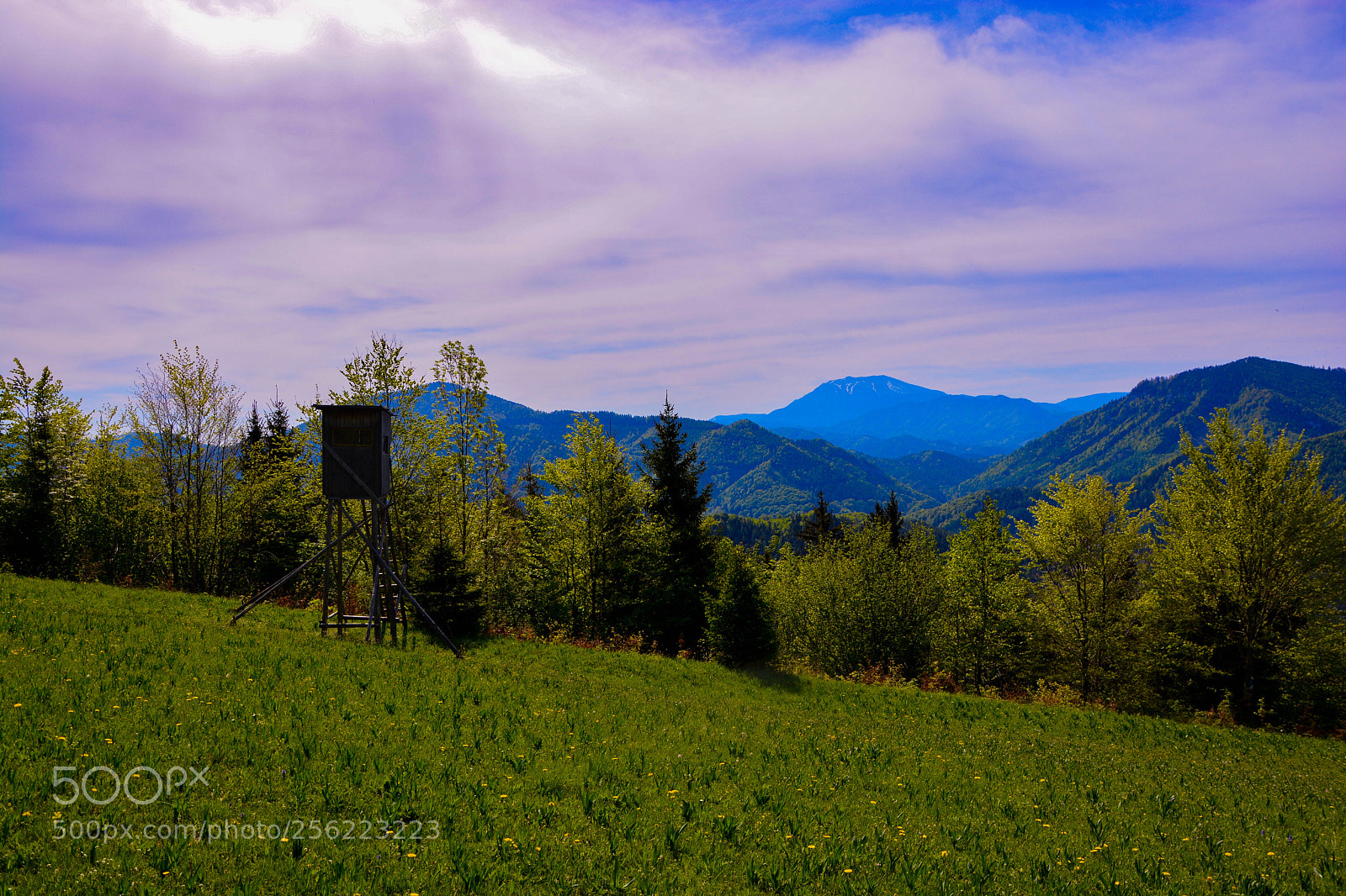 Nikon D5200 sample photo. Looking into the alps photography