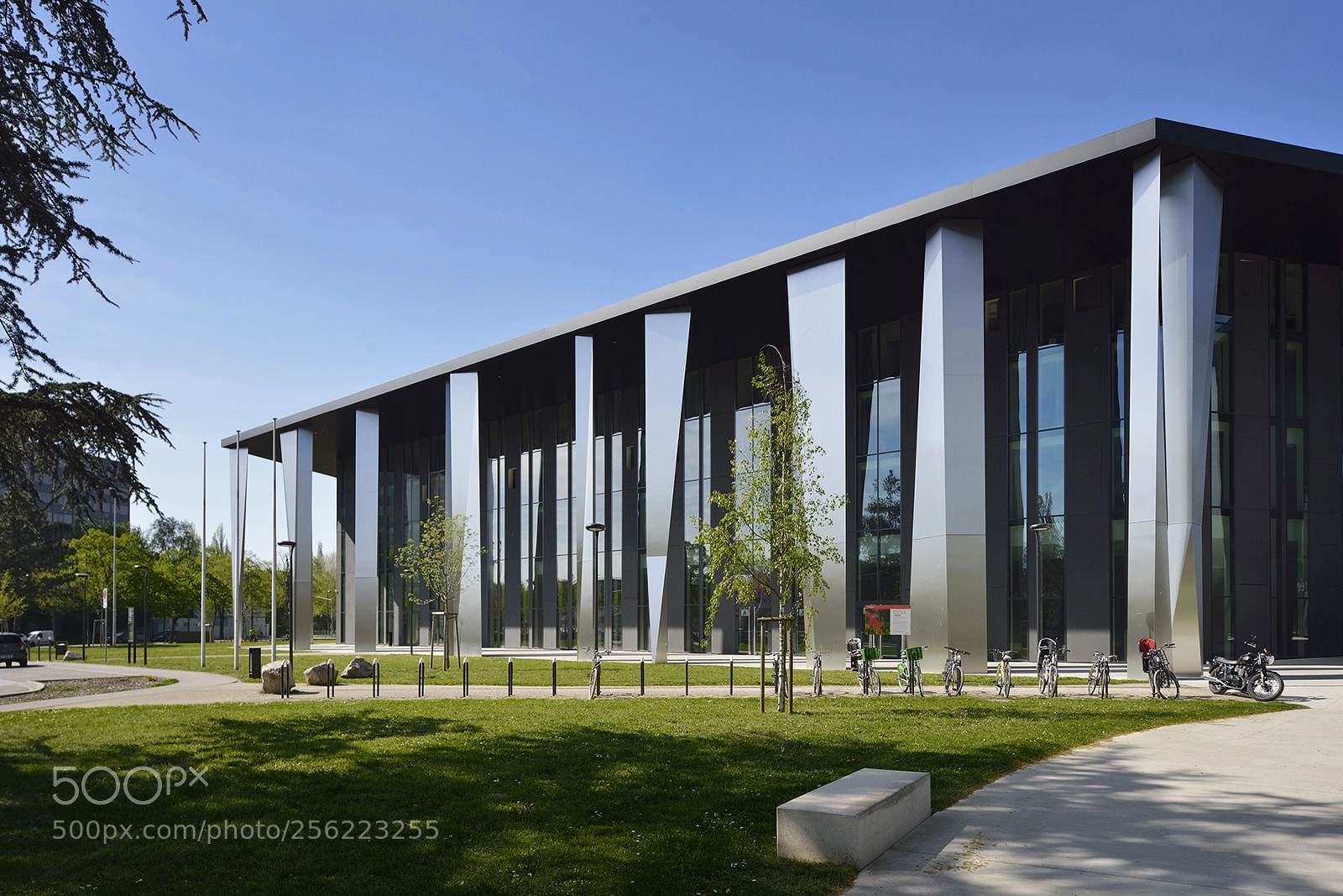 Nikon D800 sample photo. Pmc strasbourg #4 photography