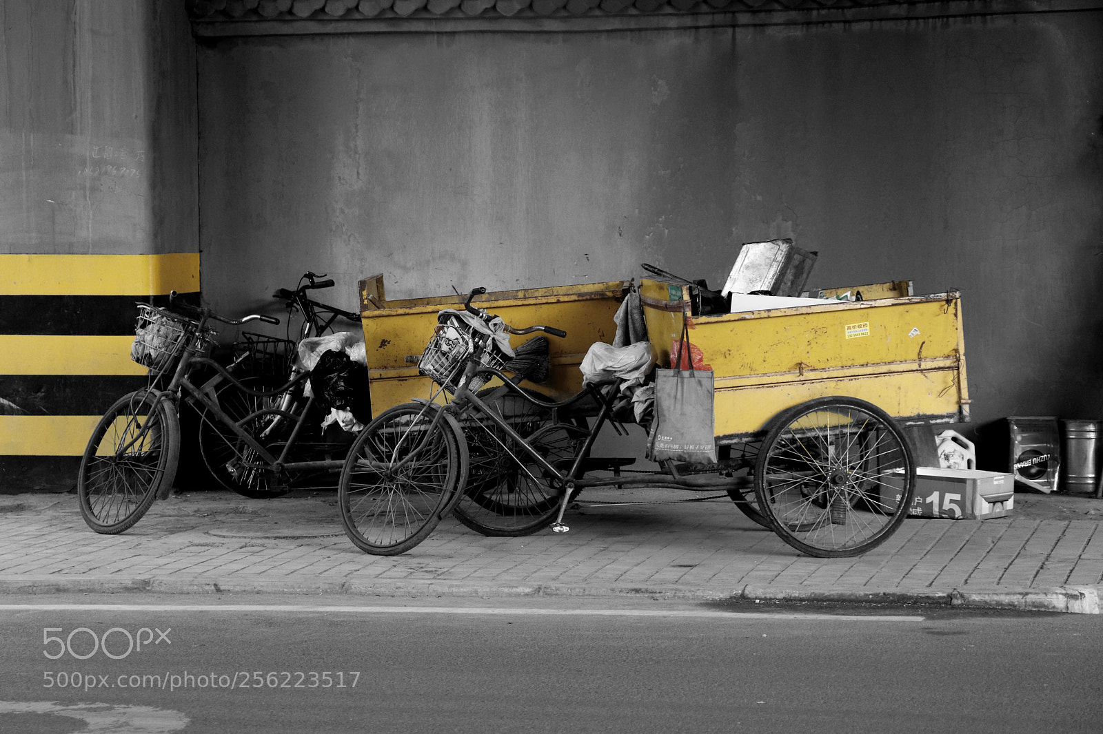 Canon EOS 80D sample photo. Color2 photography