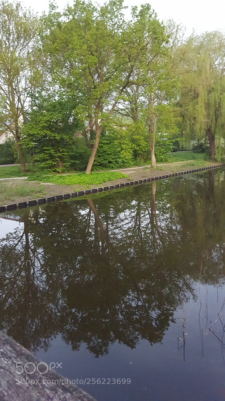 Samsung Galaxy S6 sample photo. Untitled photography