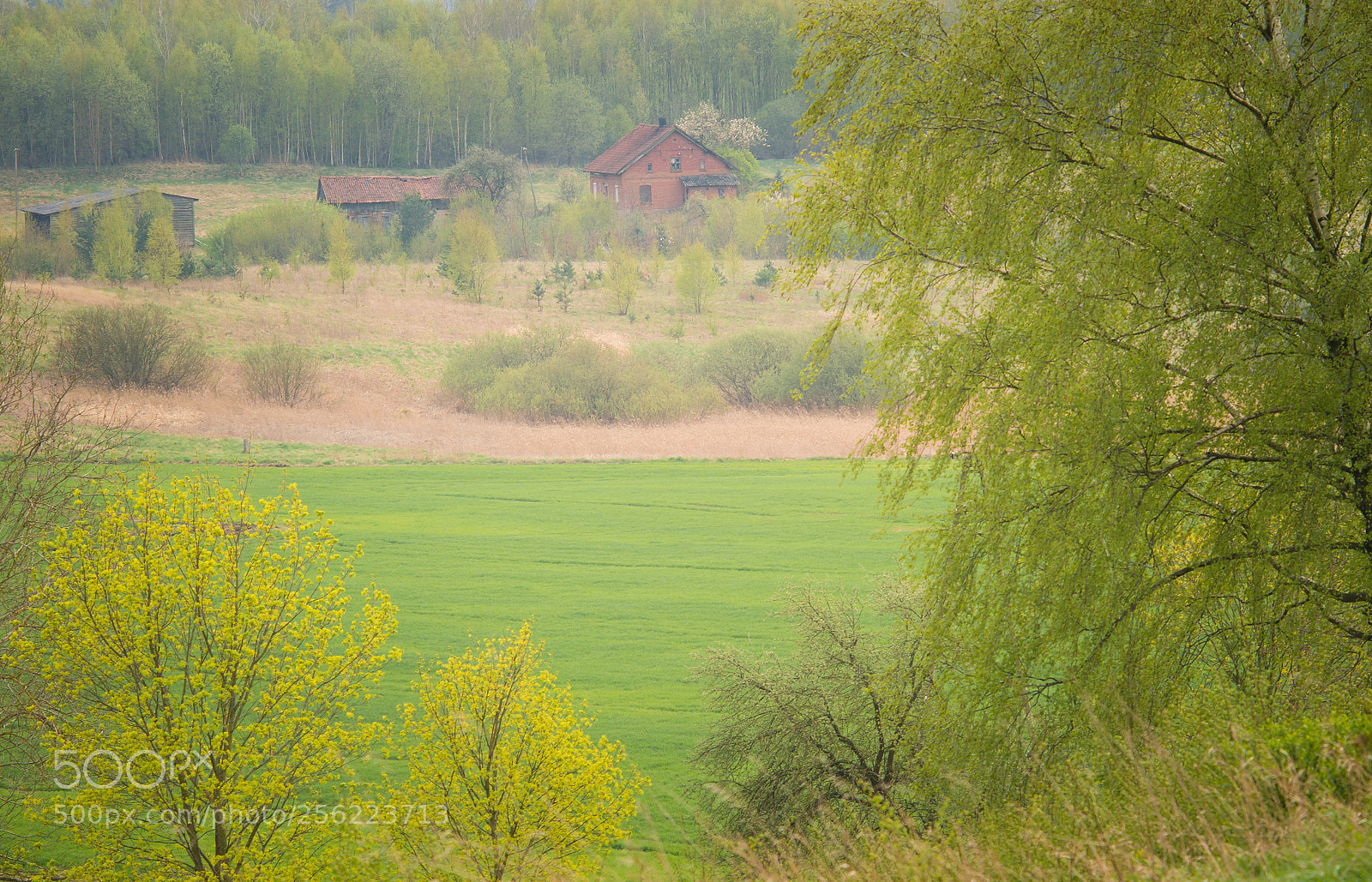 Nikon D7000 sample photo. Warmia. photography