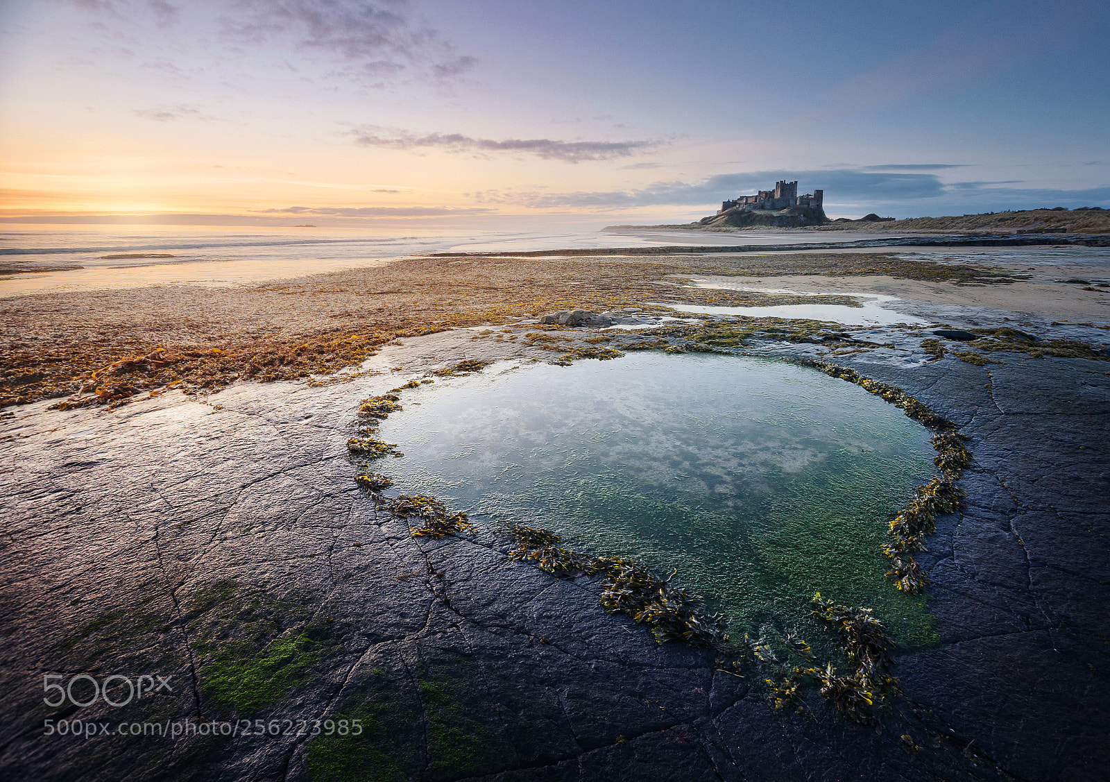 Nikon D600 sample photo. Bamburgh castle photography