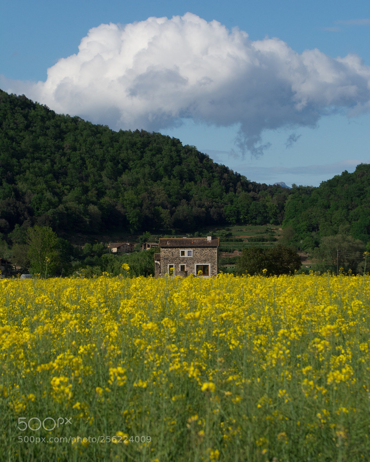 Nikon D7100 sample photo. Catalunya  photography