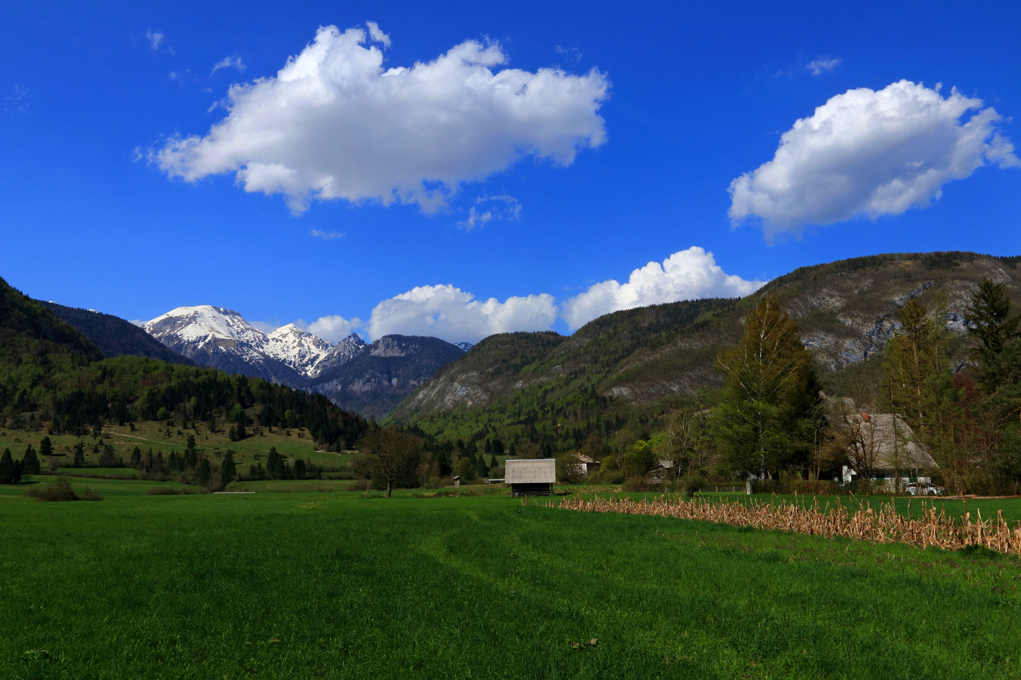 Canon EOS 80D + Canon EF 16-35mm F2.8L II USM sample photo. Slovenian alps at spring photography