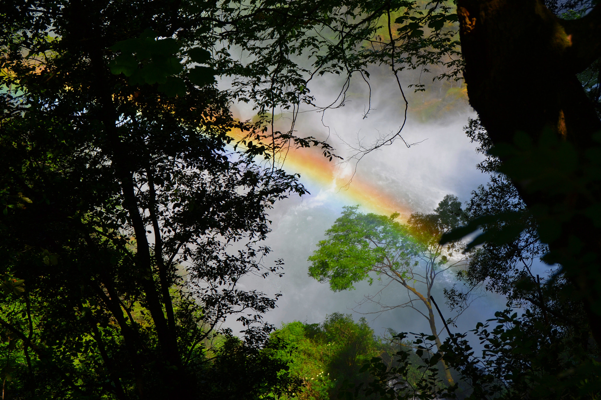 Nikon D3100 sample photo. Somewhere over the rainbow photography