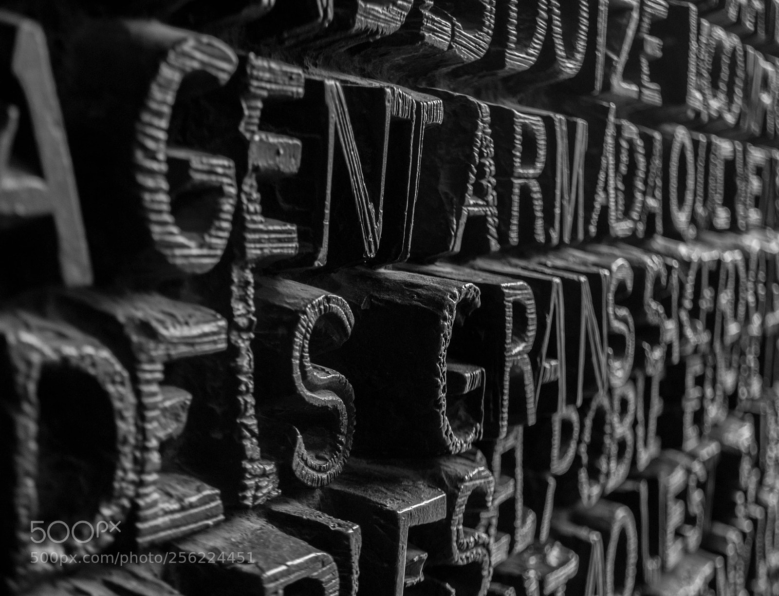 Nikon D3000 sample photo. Words photography