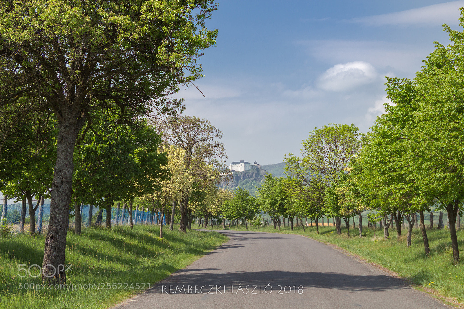 Canon EOS 700D (EOS Rebel T5i / EOS Kiss X7i) sample photo. Spring road photography