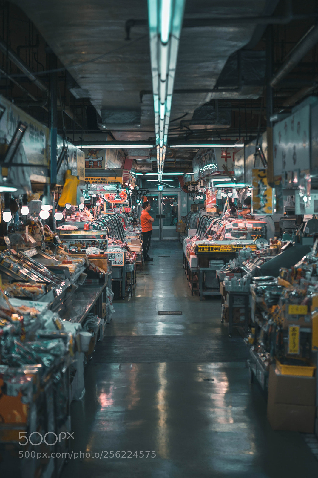 Sony a6000 sample photo. Fish market photography