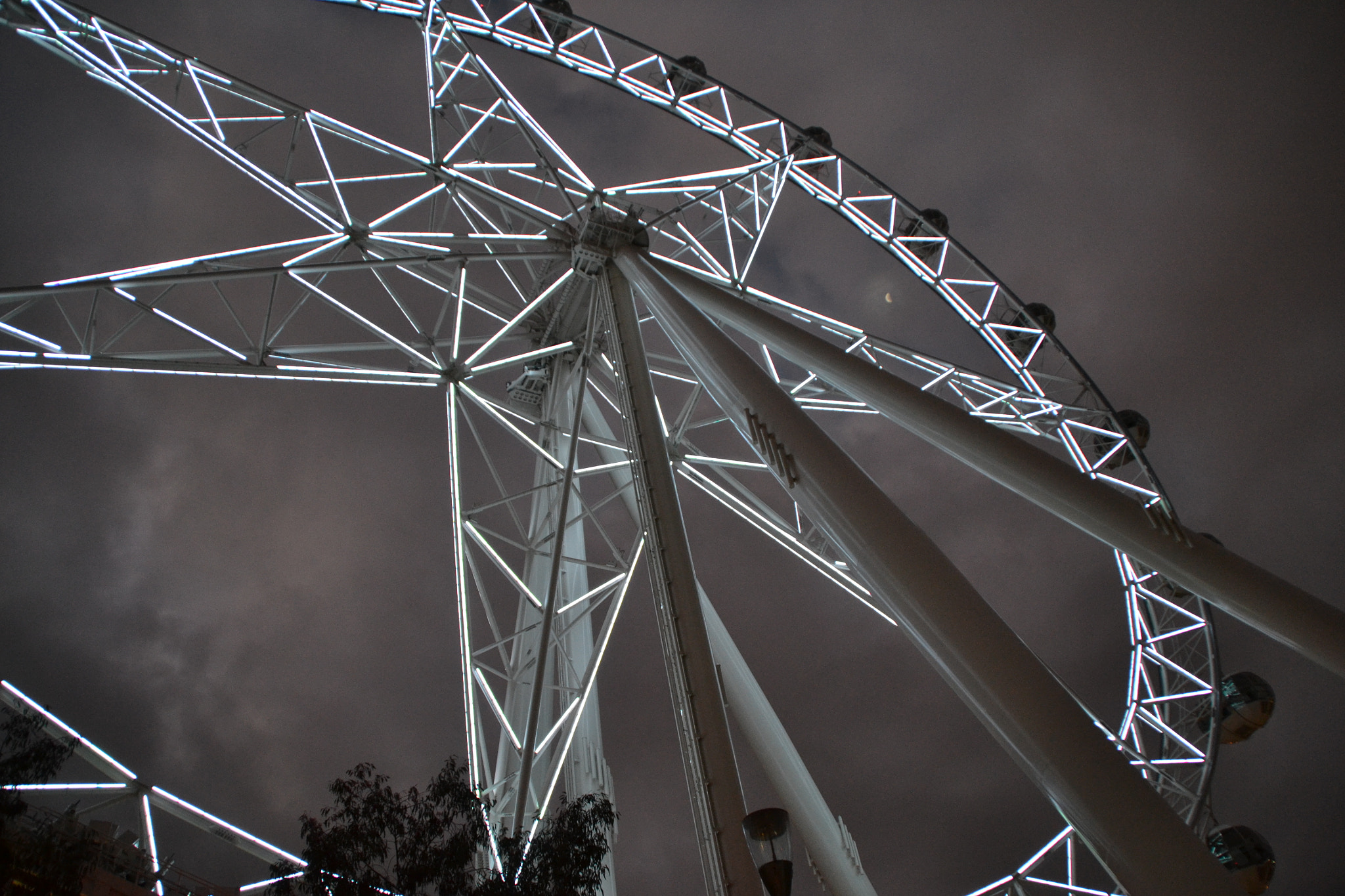 Nikon D3100 sample photo. Star photography