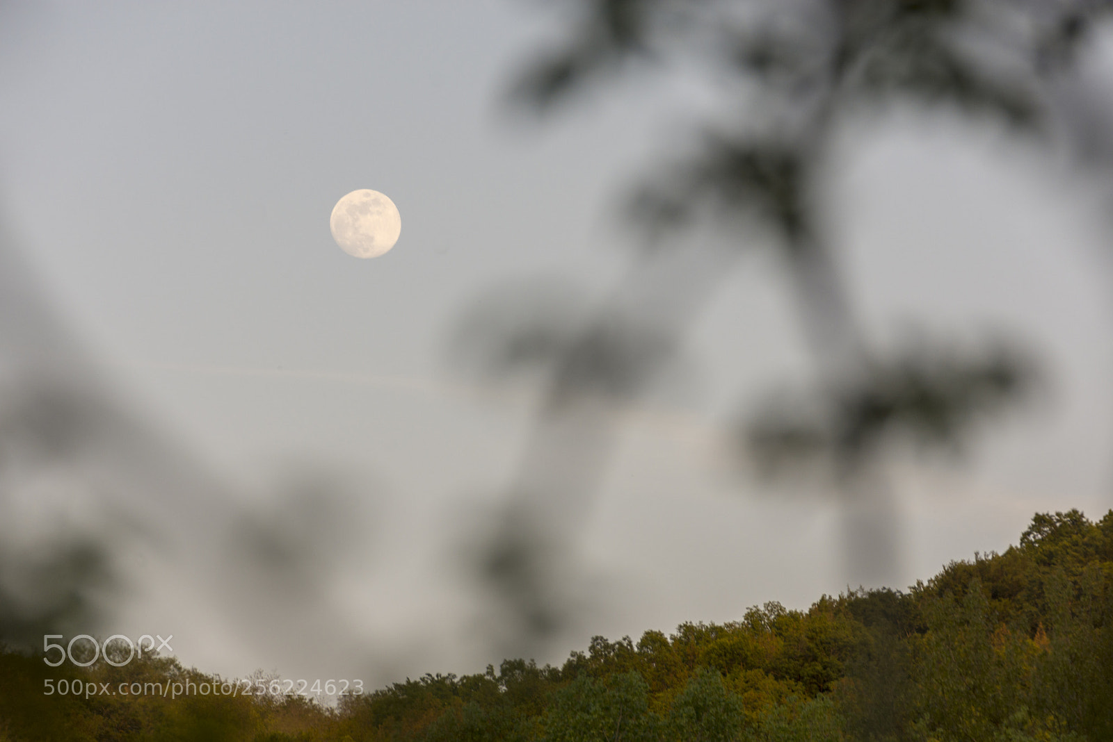 Nikon D7200 sample photo. Windows to the world photography