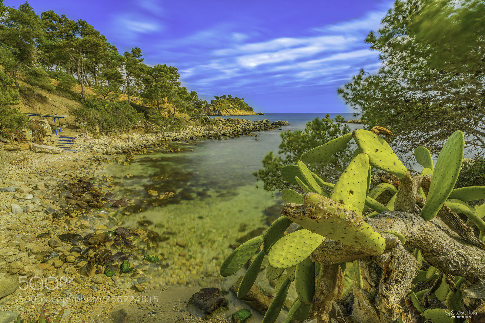 Sony a99 II sample photo. Kaktehen am meer photography