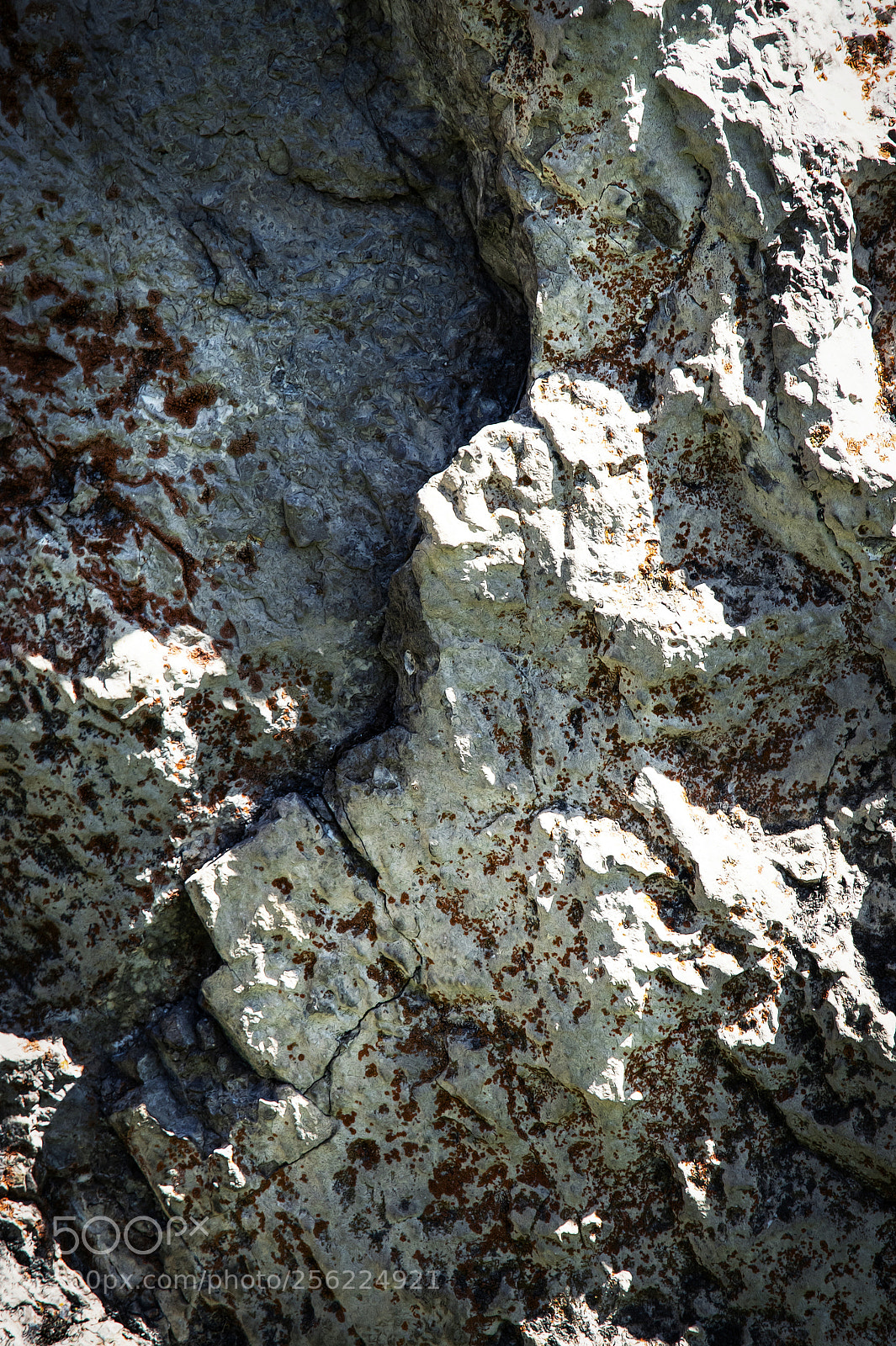 Nikon D5500 sample photo. Abstract detail of the photography