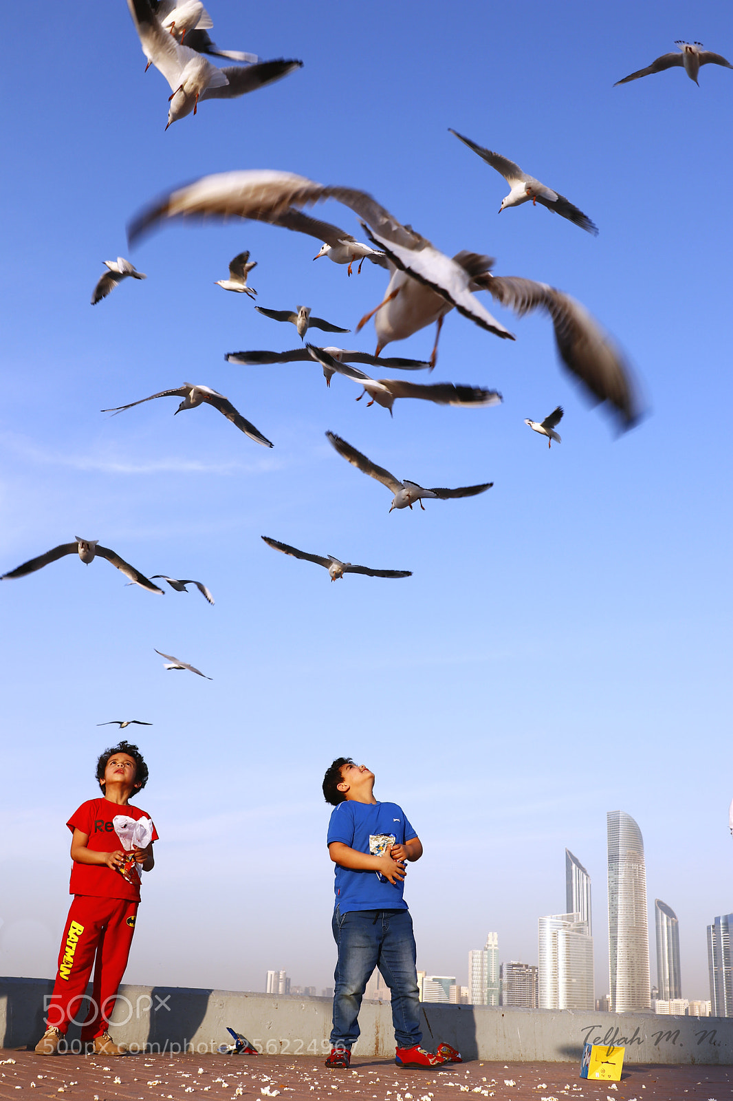 Canon EOS 80D sample photo. Feeding the seagulls photography