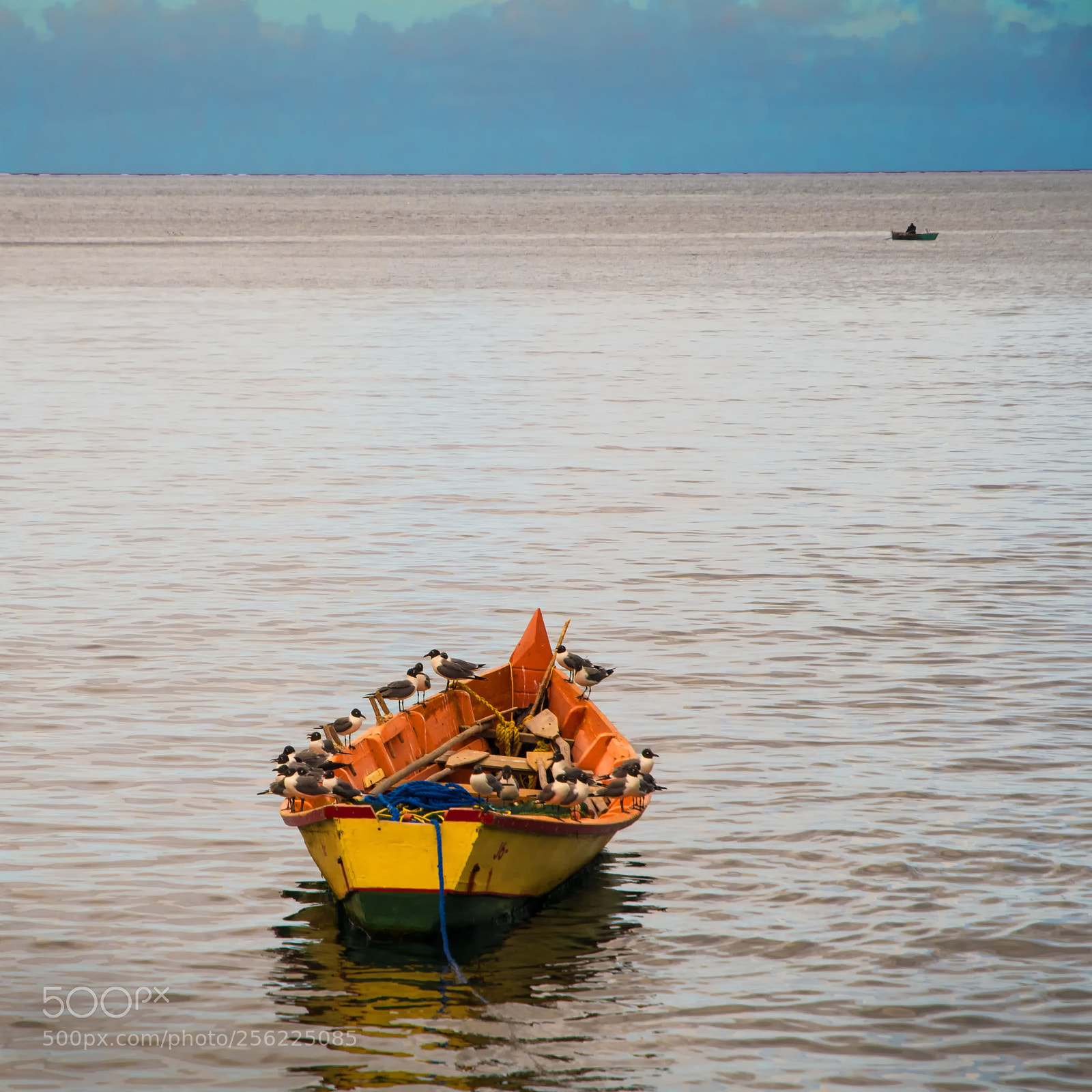 Nikon D500 sample photo. Captain and crew photography