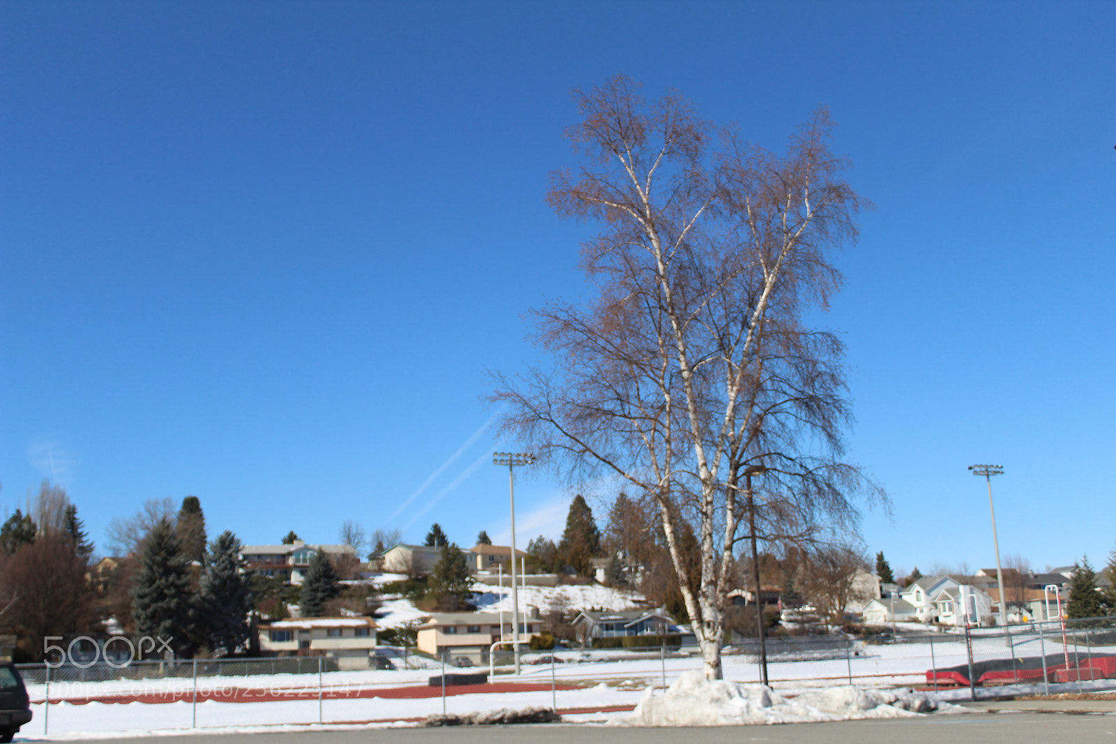 Canon EOS 1300D (EOS Rebel T6 / EOS Kiss X80) sample photo. Composition project photography