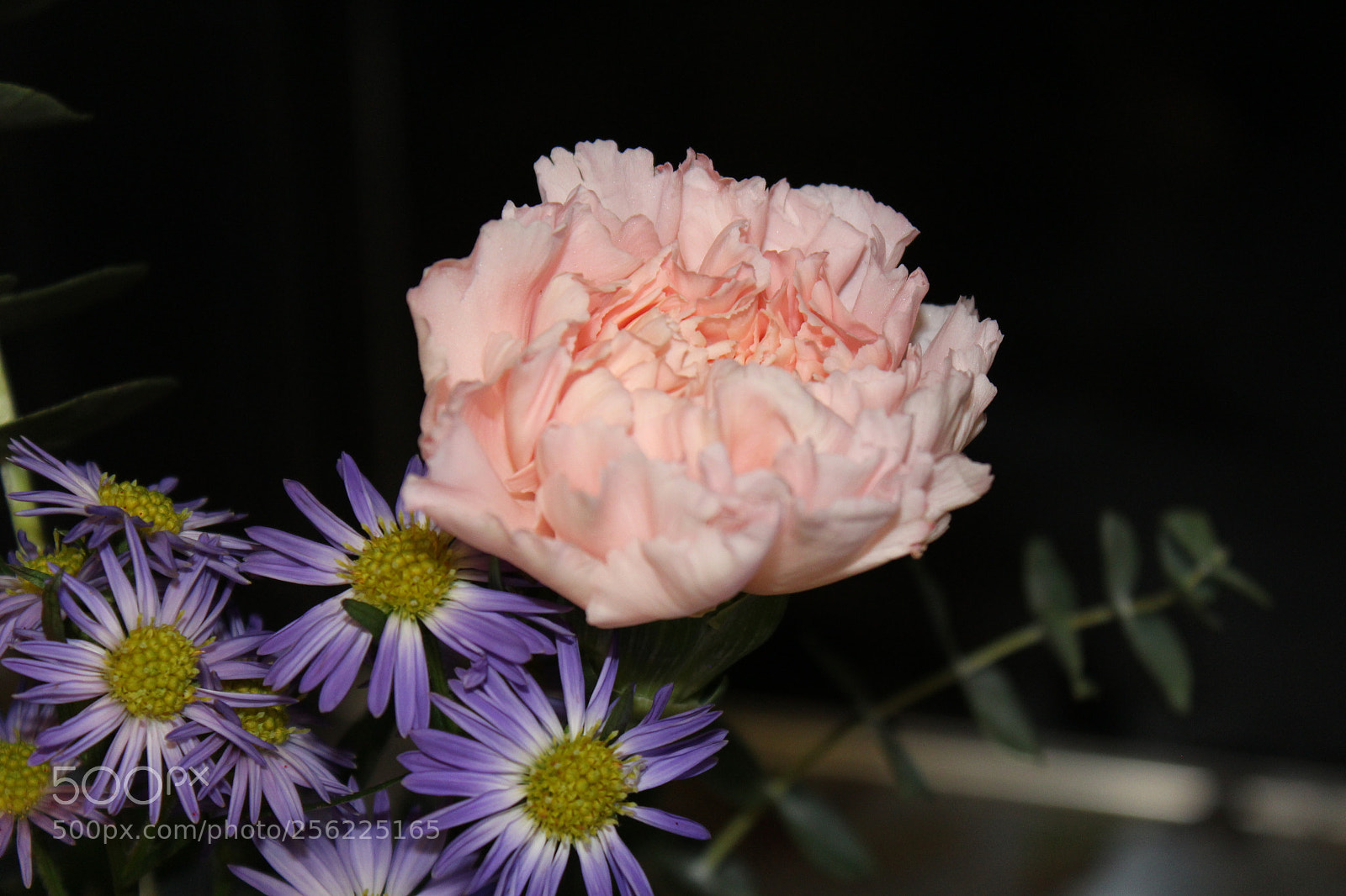 Canon EOS 1200D (EOS Rebel T5 / EOS Kiss X70 / EOS Hi) sample photo. Composition project photography