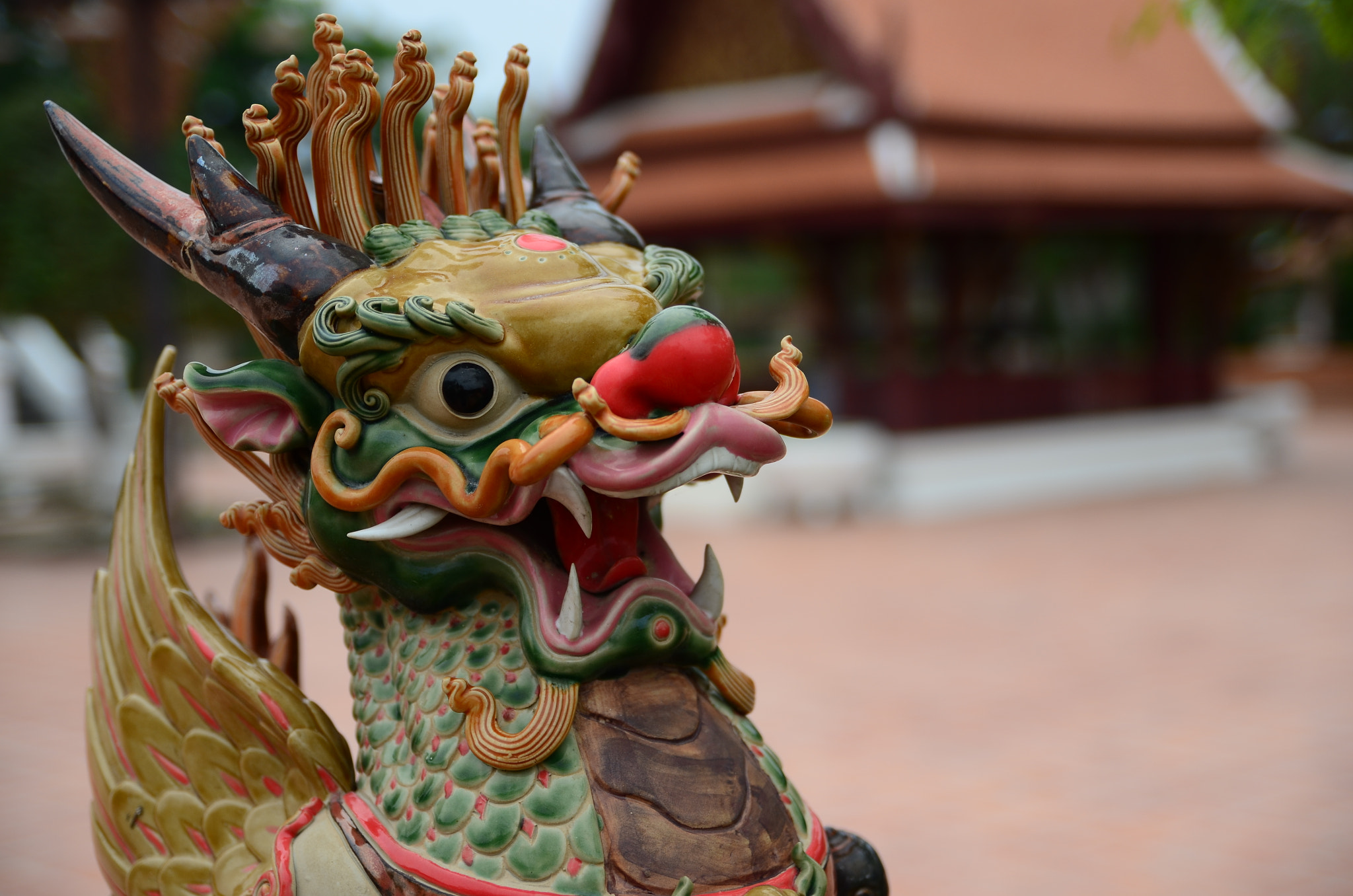 Nikon D7000 sample photo. Dragon photography
