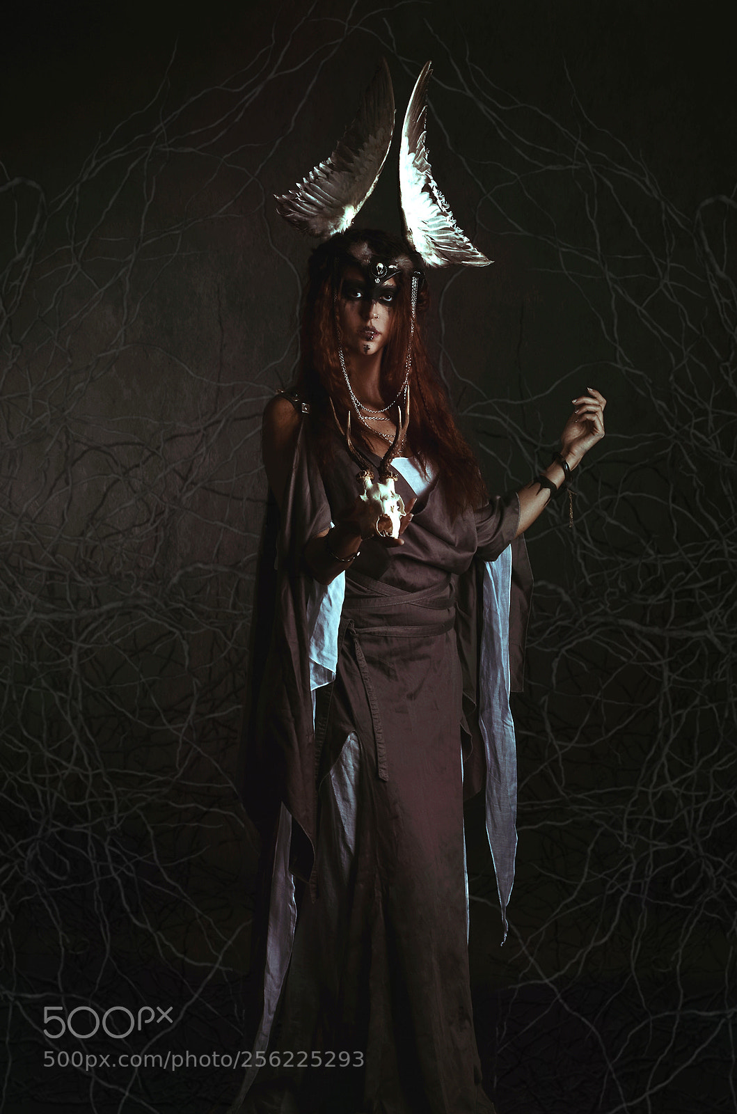 Nikon D7000 sample photo. Valkyrie photography