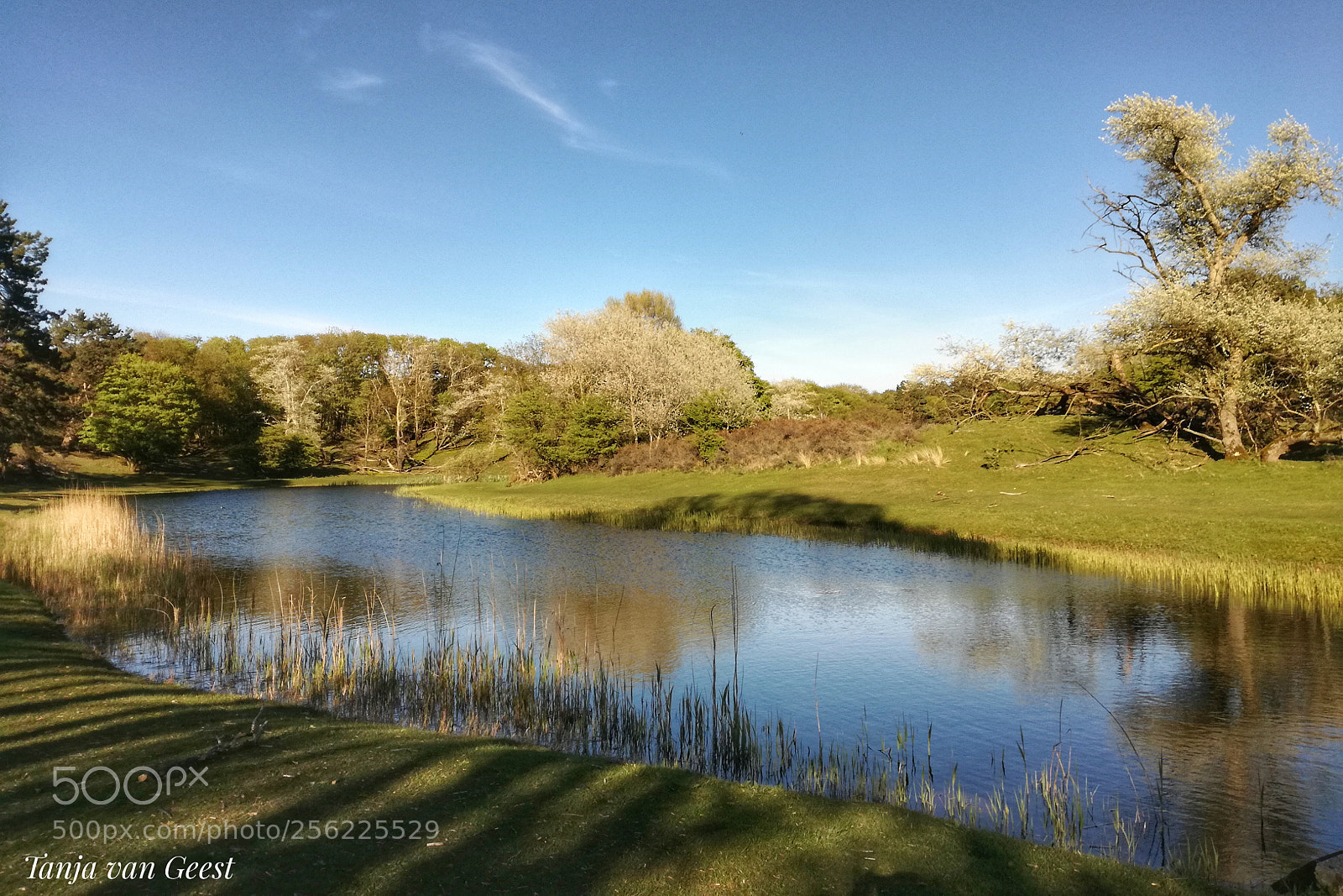 HUAWEI P9 LITE sample photo. Landscape amsterdamse waterleiding duinen photography