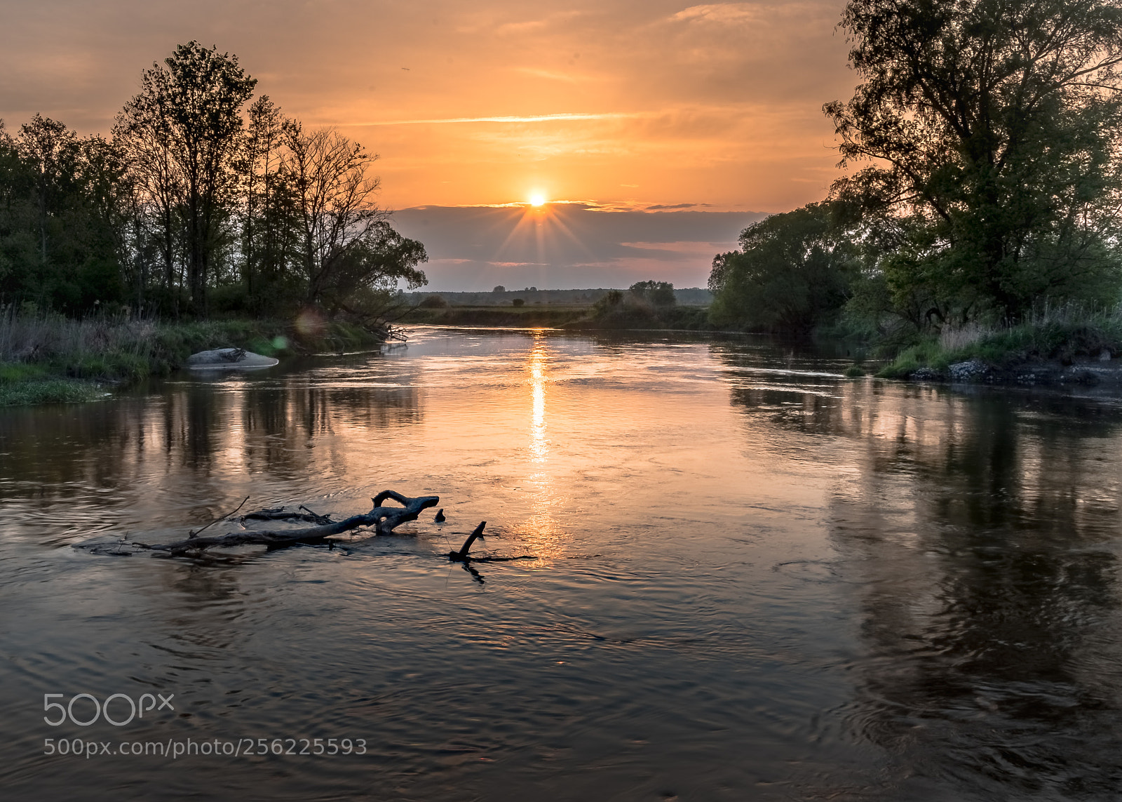 Nikon D750 sample photo. River sunset photography