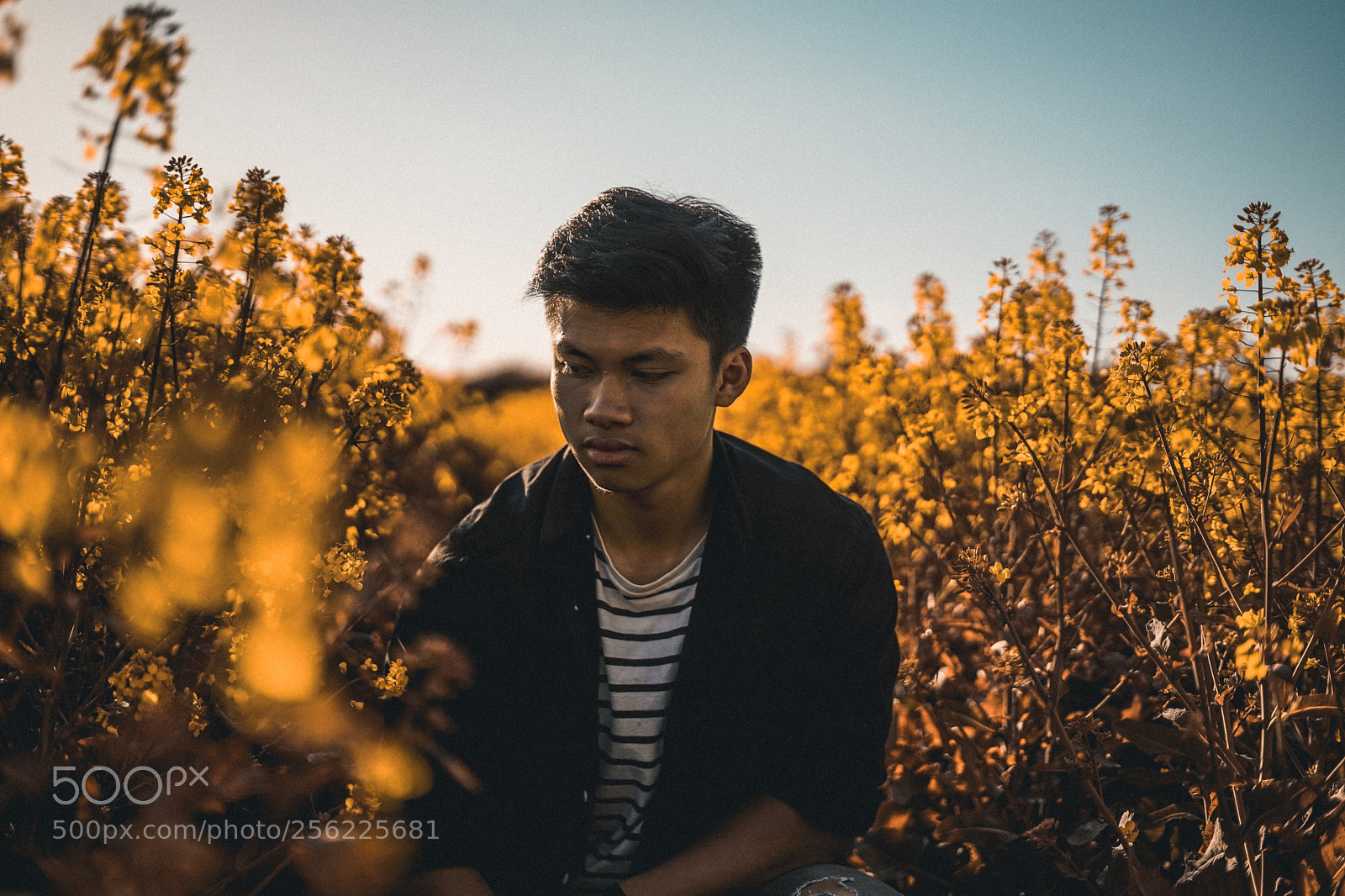 Sony a7 sample photo. Hainam photography