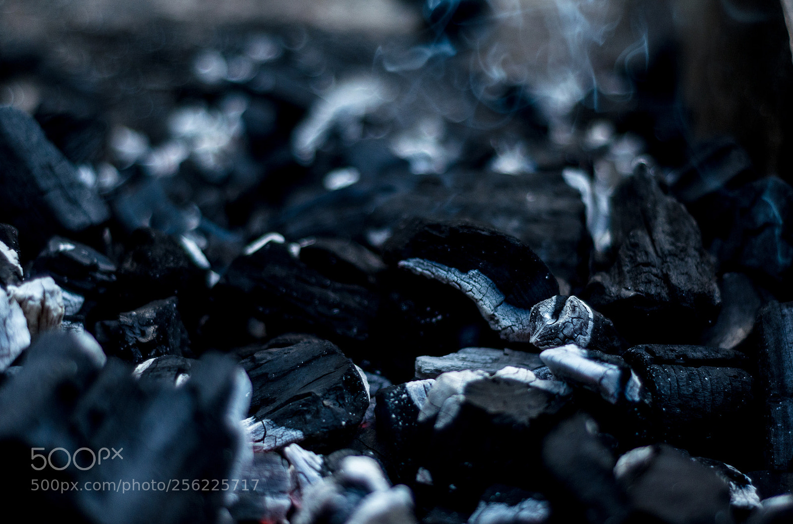 Nikon D5100 sample photo. Dormant heat photography