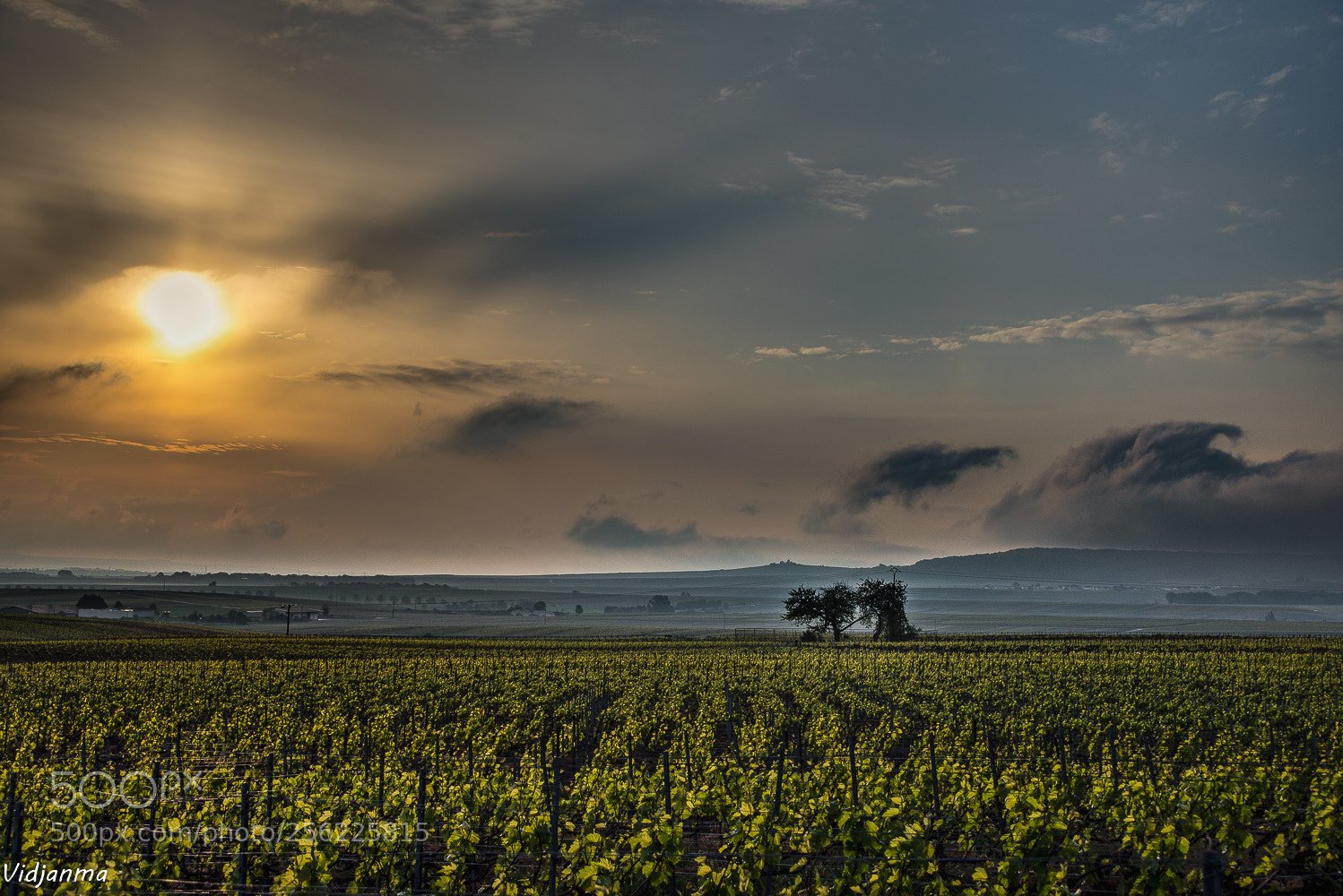 Nikon D610 sample photo. Sunrise in champagne photography
