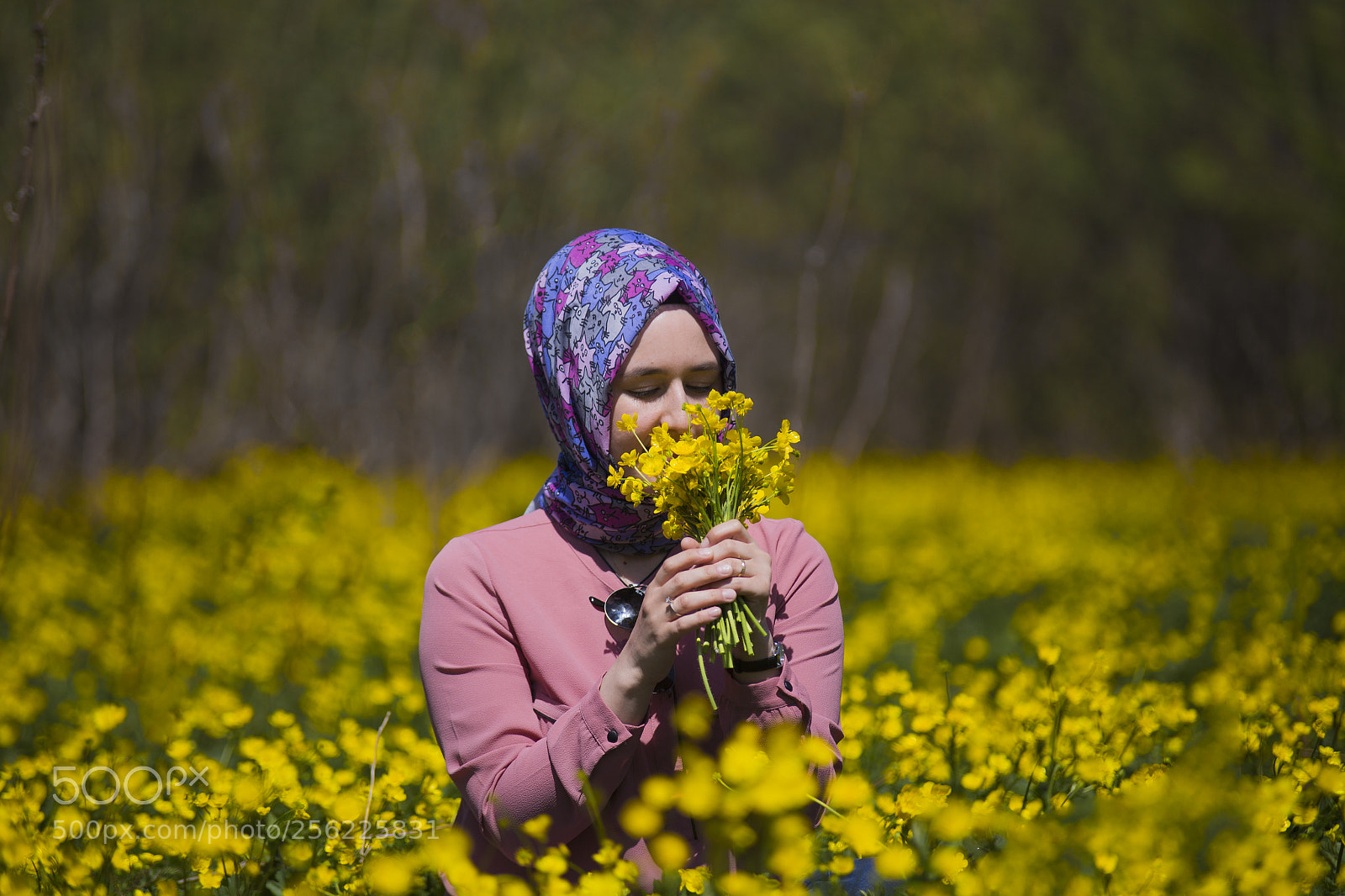 Canon EOS 6D sample photo. Yellow flower photography