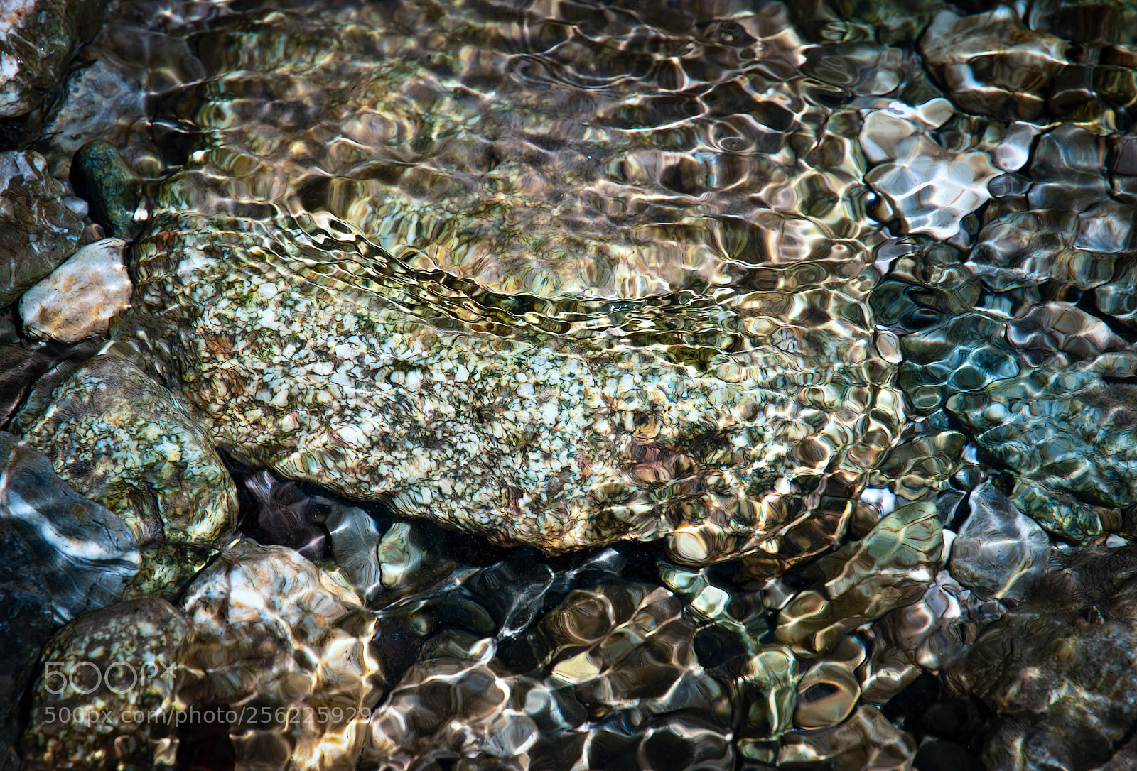 Nikon D5500 sample photo. Stones in clear streams photography