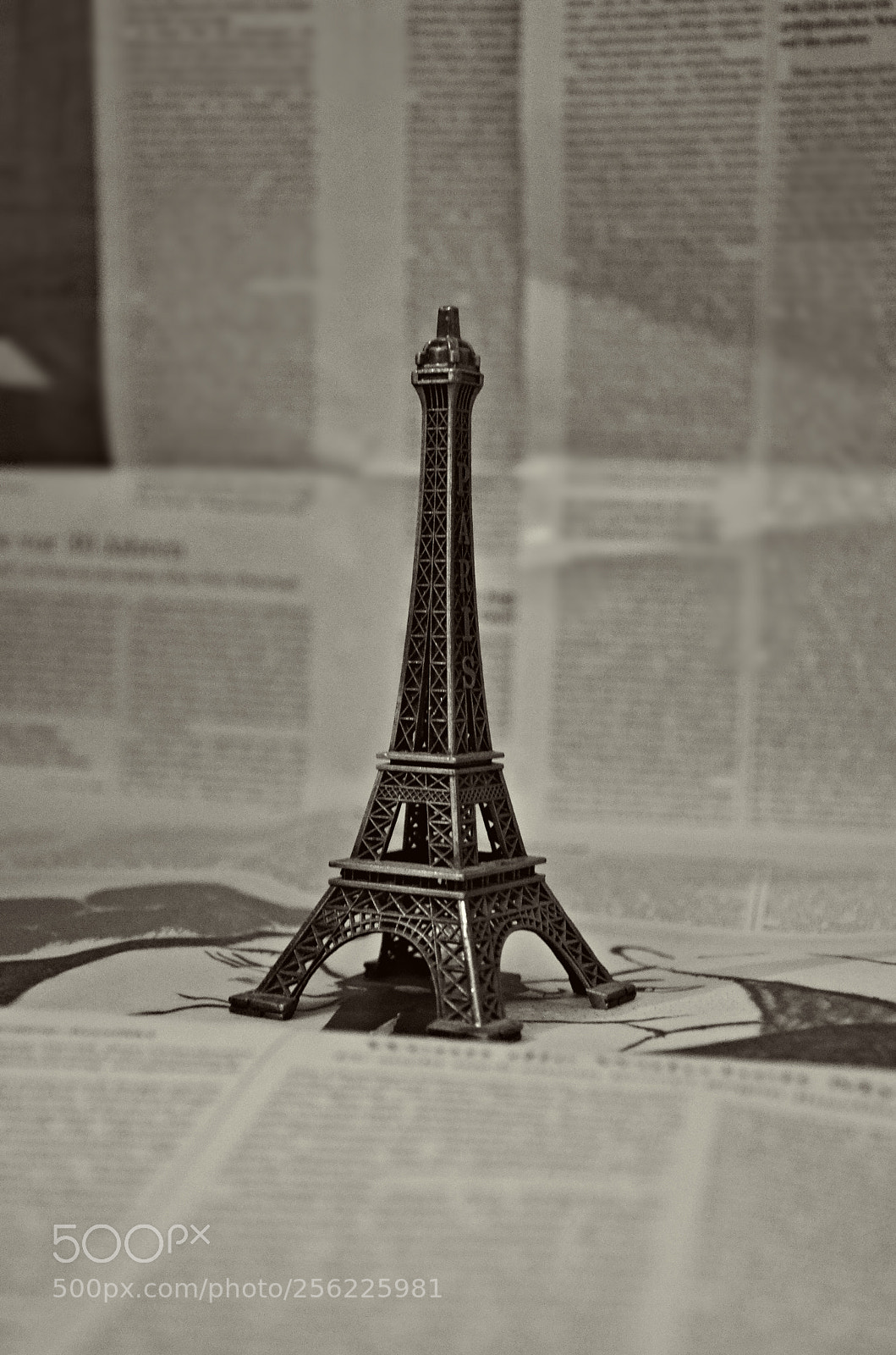 Nikon D5100 sample photo. Paris in my pocket photography