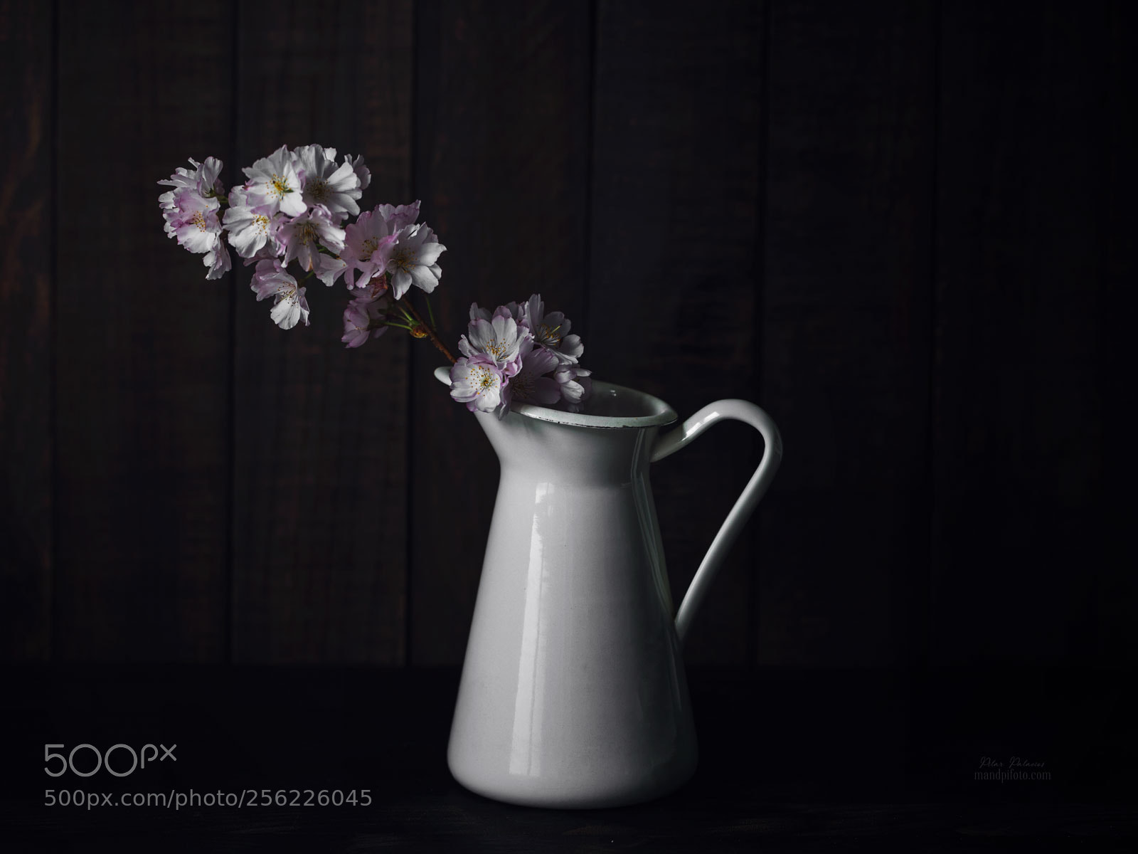 Canon EOS 6D sample photo. Memorias de una primavera photography