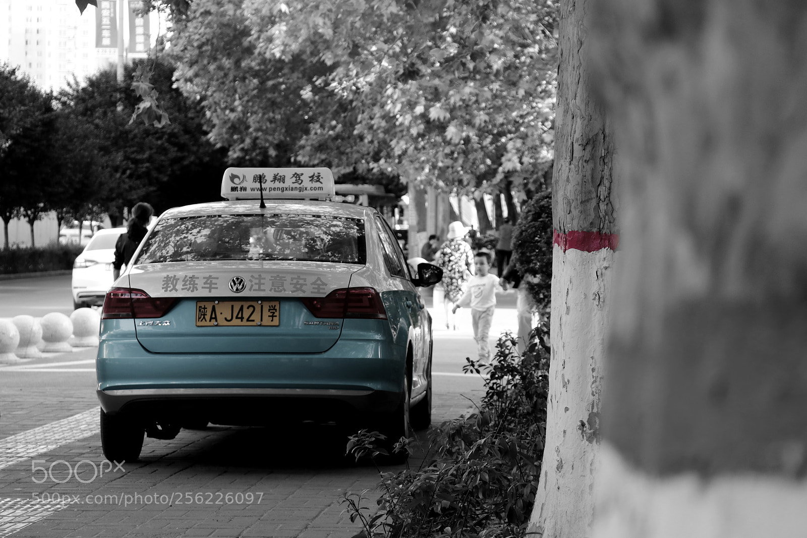 Canon EOS 80D sample photo. Where are you going? photography