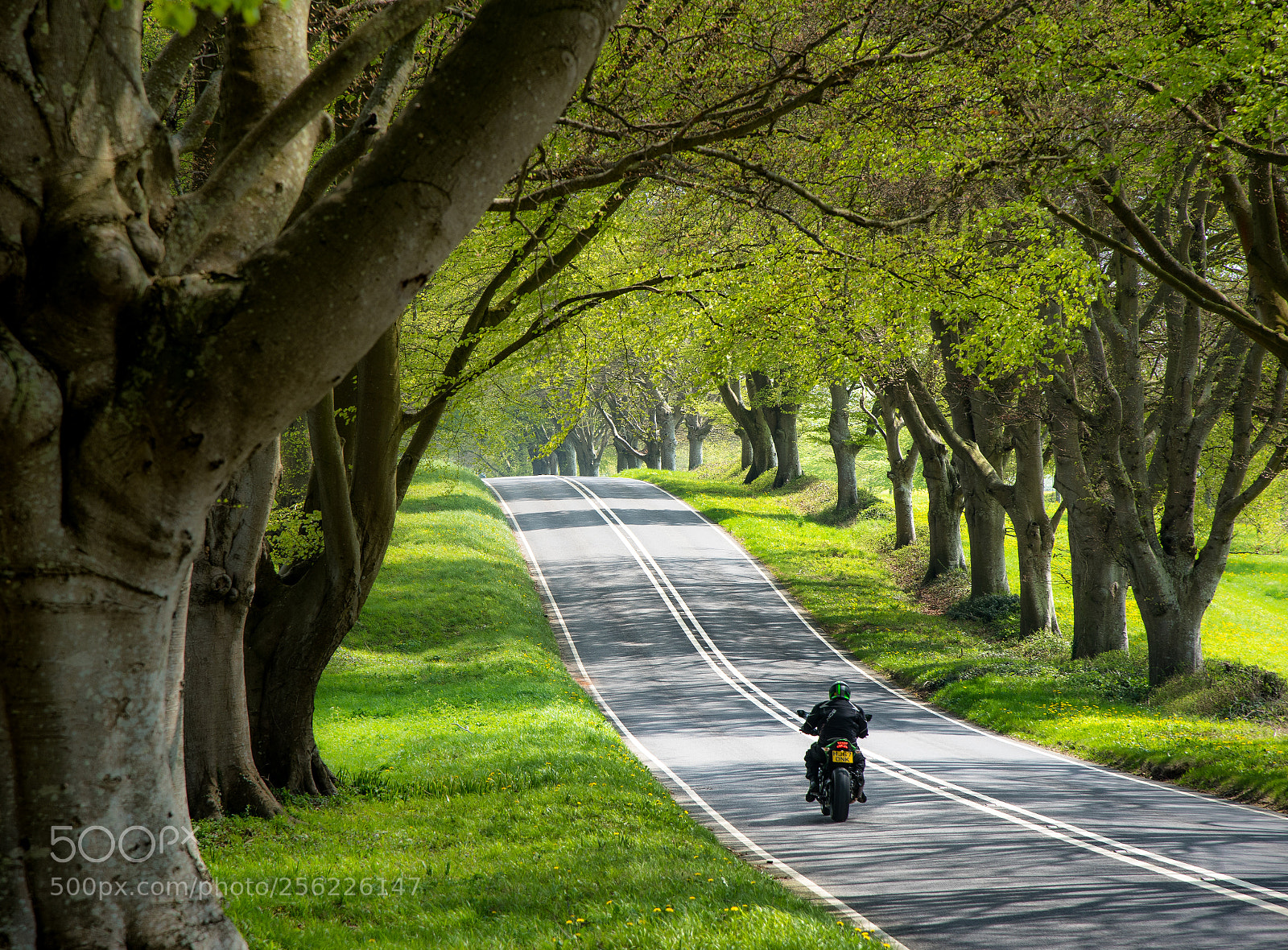 Nikon D750 sample photo. Easy rider photography