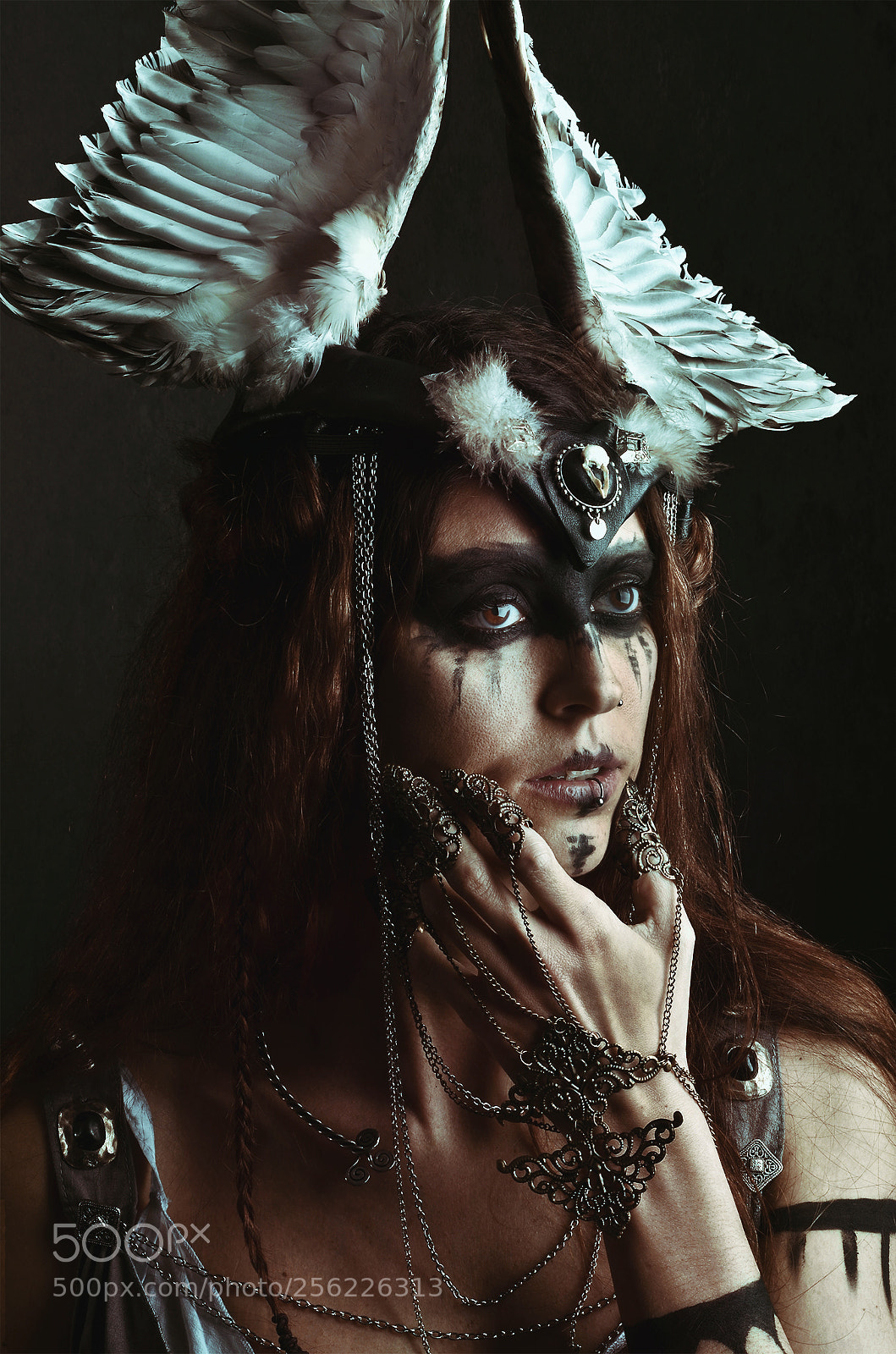 Nikon D7000 sample photo. Valkyrie photography