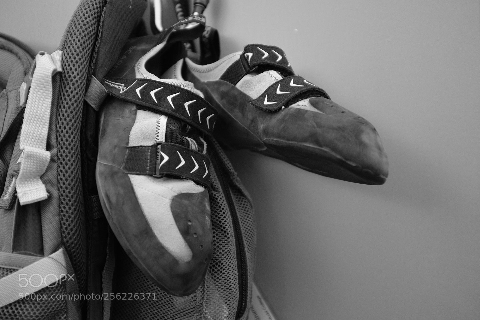 Fujifilm X100F sample photo. Untitled photography