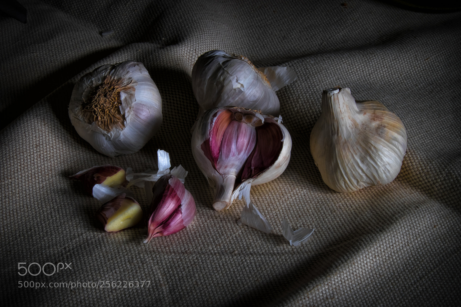 Fujifilm X-T1 sample photo. Garlics photography