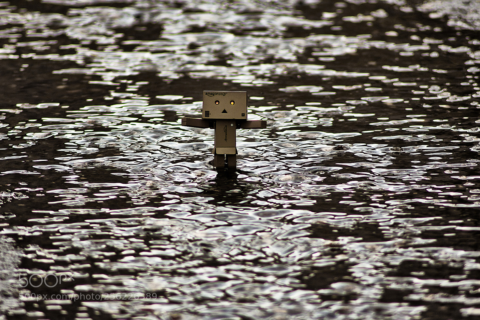 Canon EOS 650D (EOS Rebel T4i / EOS Kiss X6i) sample photo. Global flood. photography